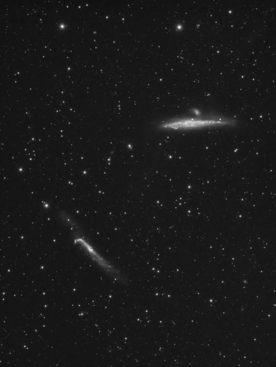 NGC4631-Lb1a.thumb.jpg.6aa697c574c453c34dd0c15251d67492.jpg