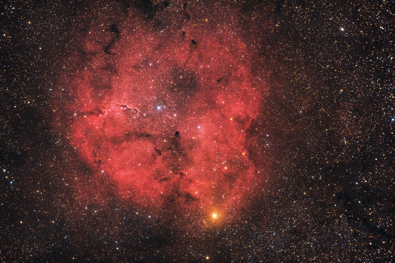 IC 1396-66 nowek kopia_3.jpg