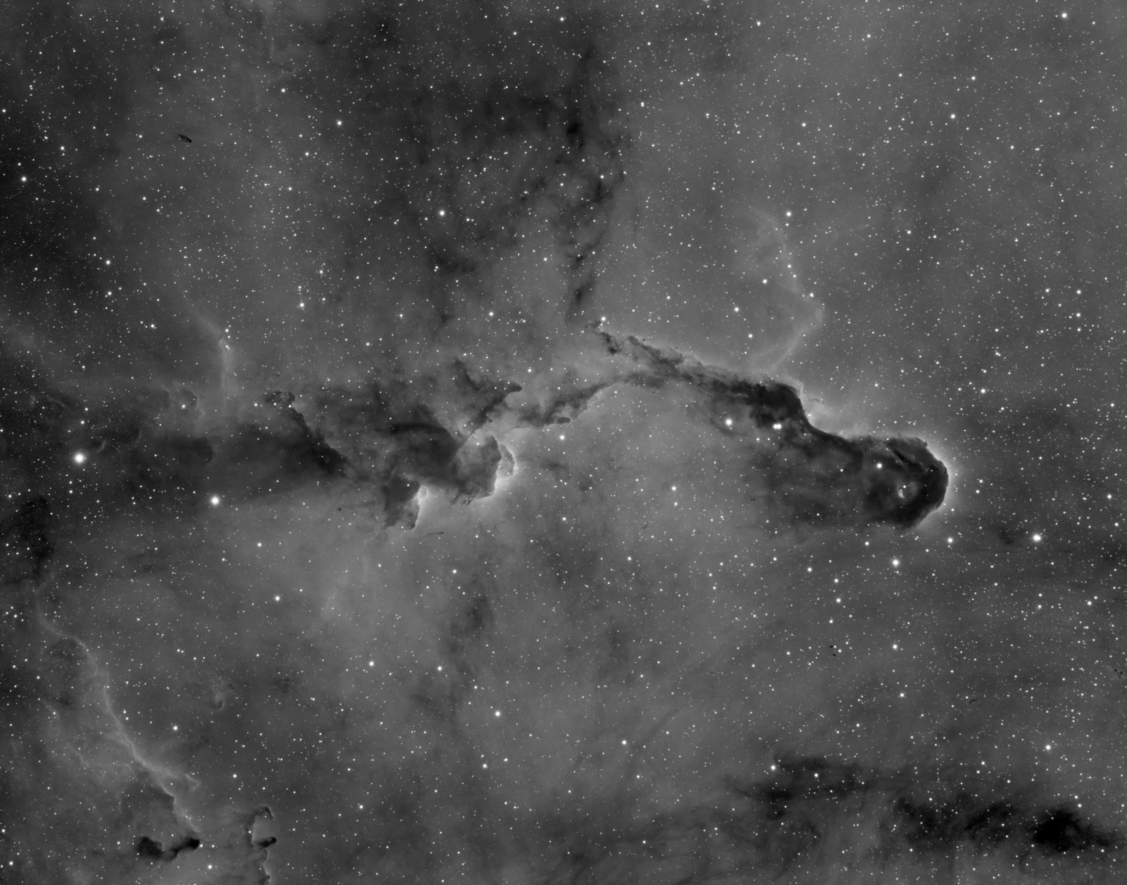 IC1396_b&w_astrobogdan.jpg