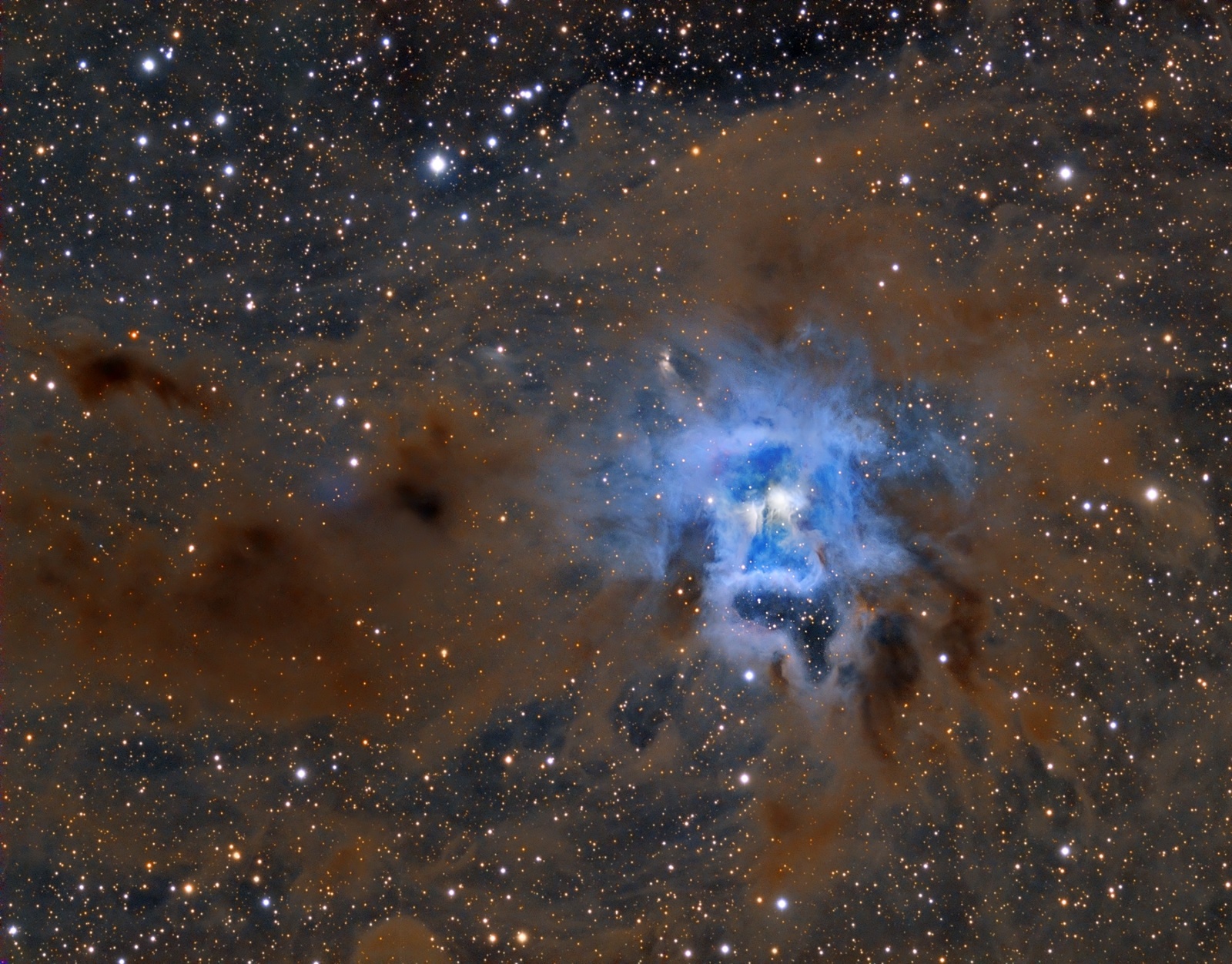 NGC7023.thumb.jpg.f9c4d2fefaba3ea910a3dcc08d1342c0.jpg