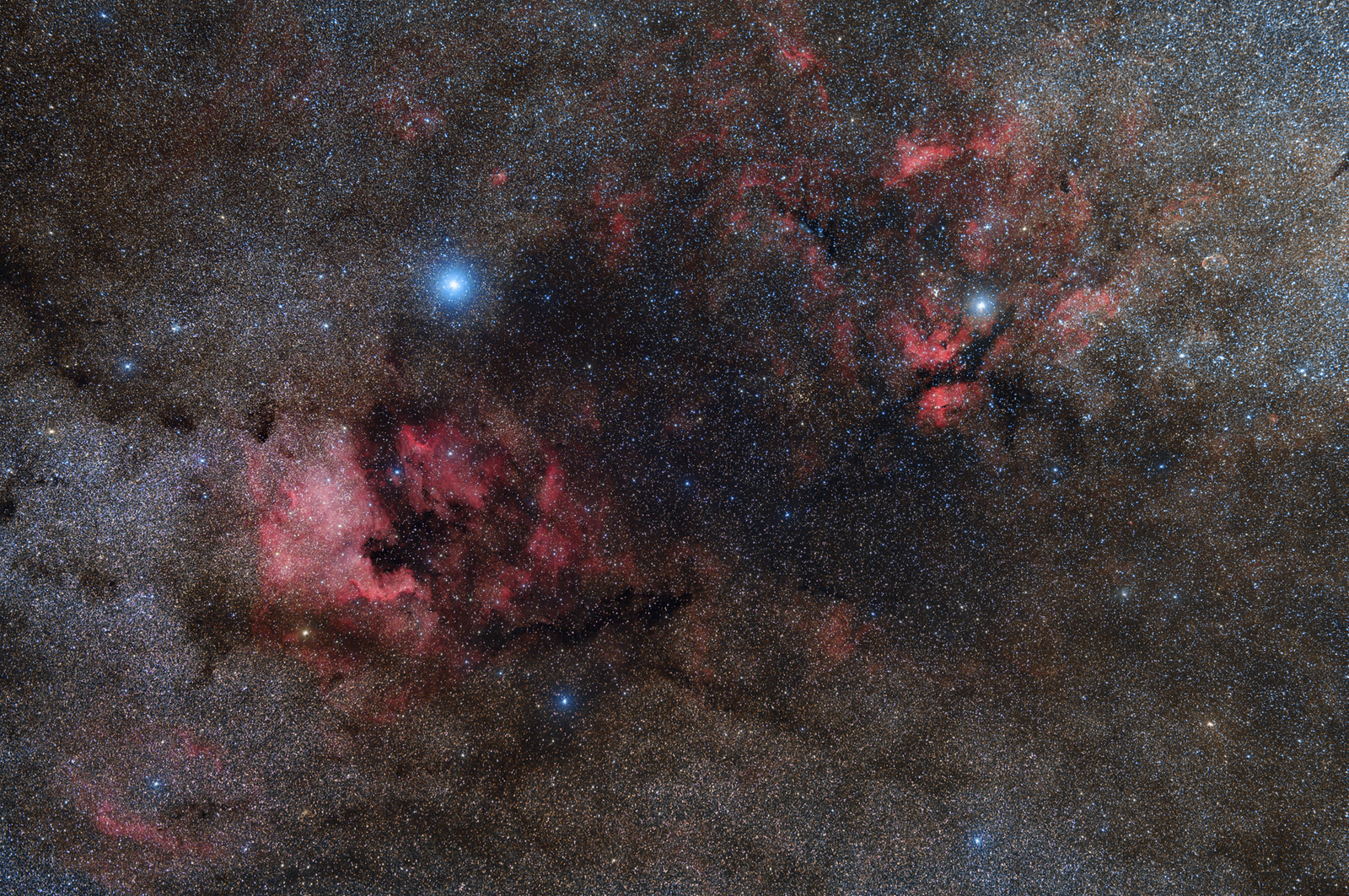NGC7000&Sadr_Samyang_135mm.png