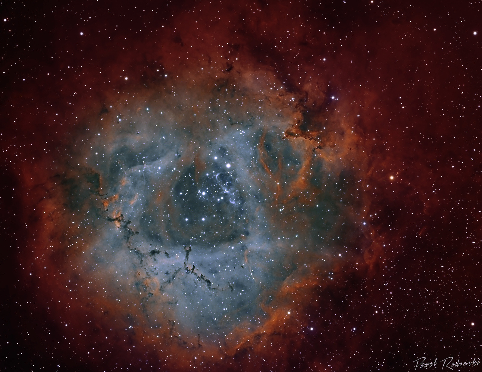 NGC2237_Bicolor_v3_1920_sign.jpg.87d8ef16c58c82bfce37278f8e07adc4.jpg