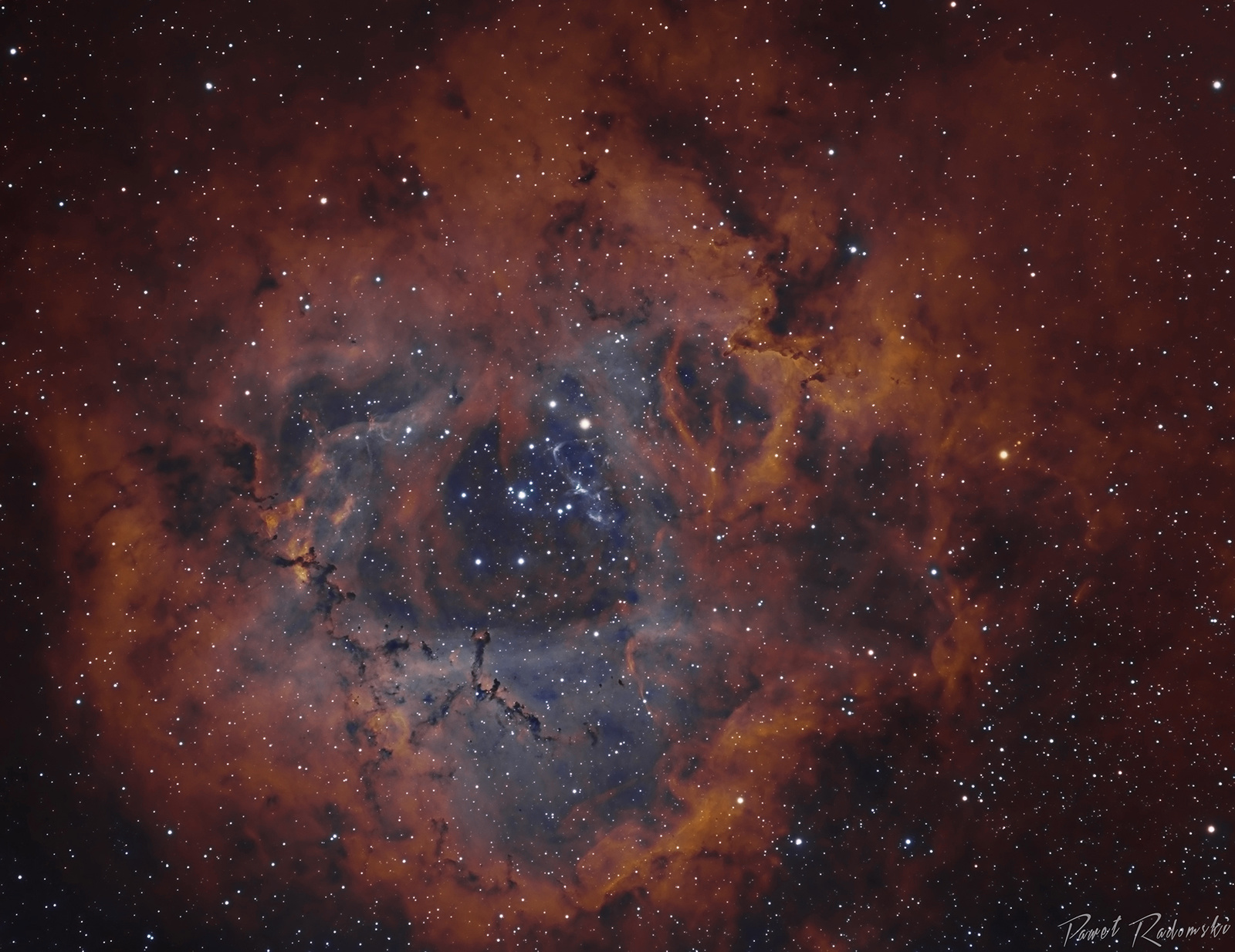 NGC2237_pav.thumb.jpg.e3116bfb86056c4410aa09a432a2925d.jpg
