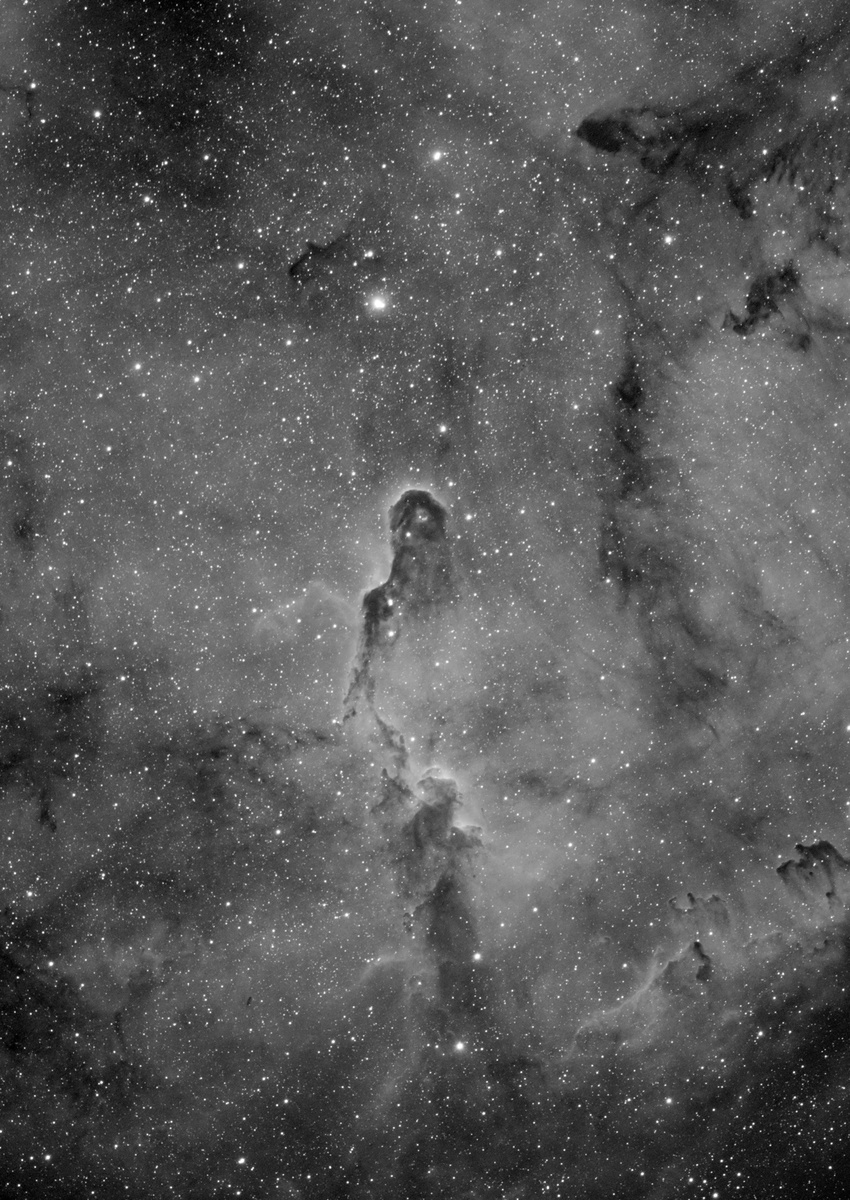1581525336_NGC1396Ha64x120sresize50.thumb.jpg.4ee66fcfd4ca84c892af84e59c53a830.jpg