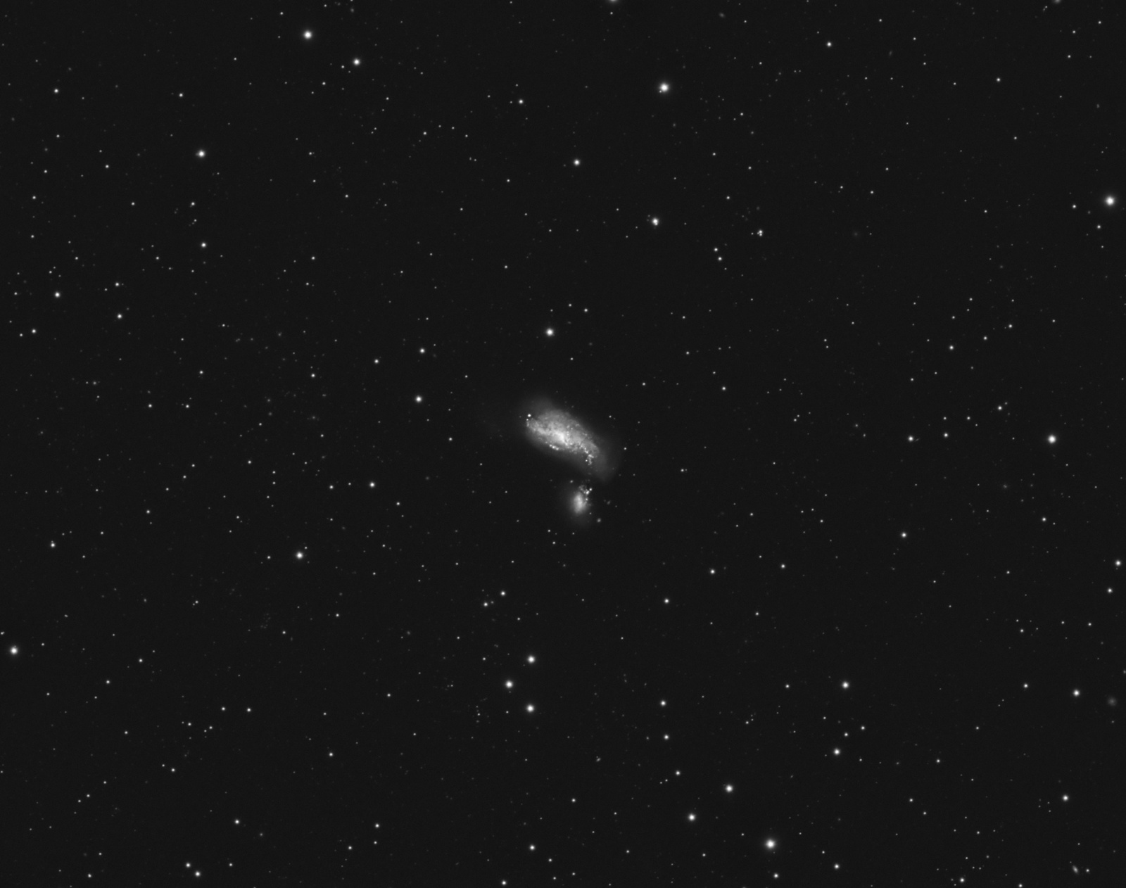 1762388488_NGC4490L18x420APO130f5.5.thumb.jpg.de46c6c715f82896207e72ce51e7b4e7.jpg