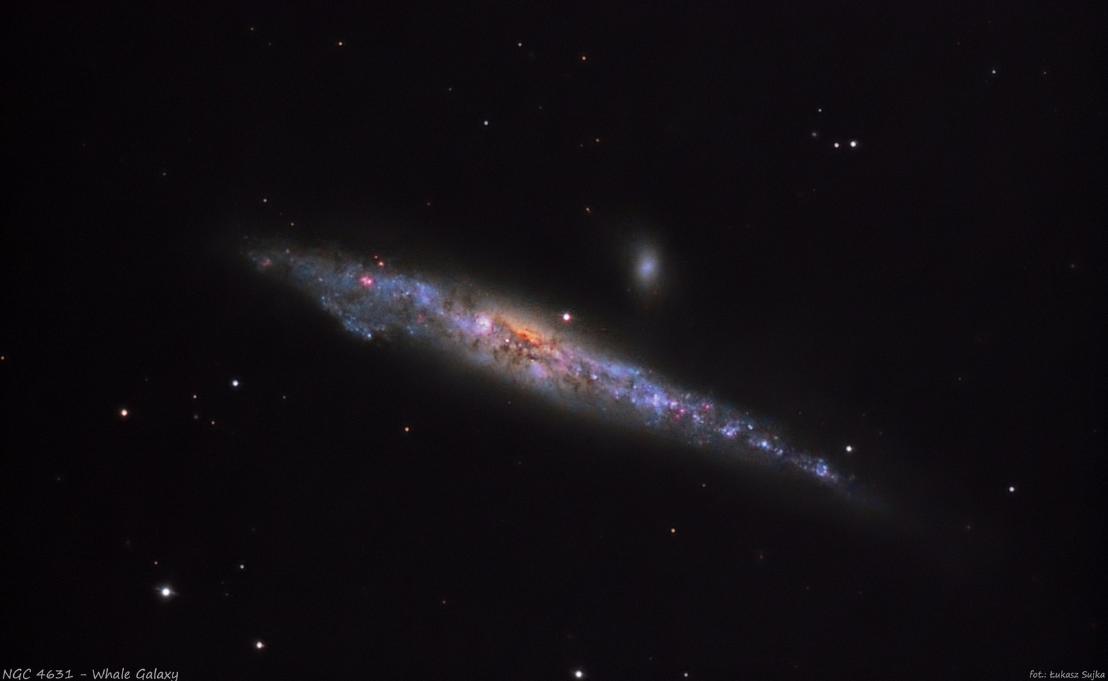 1611033642_NGC4631ls.thumb.jpg.d1789df2acb8ab4719861c472a137b65.jpg