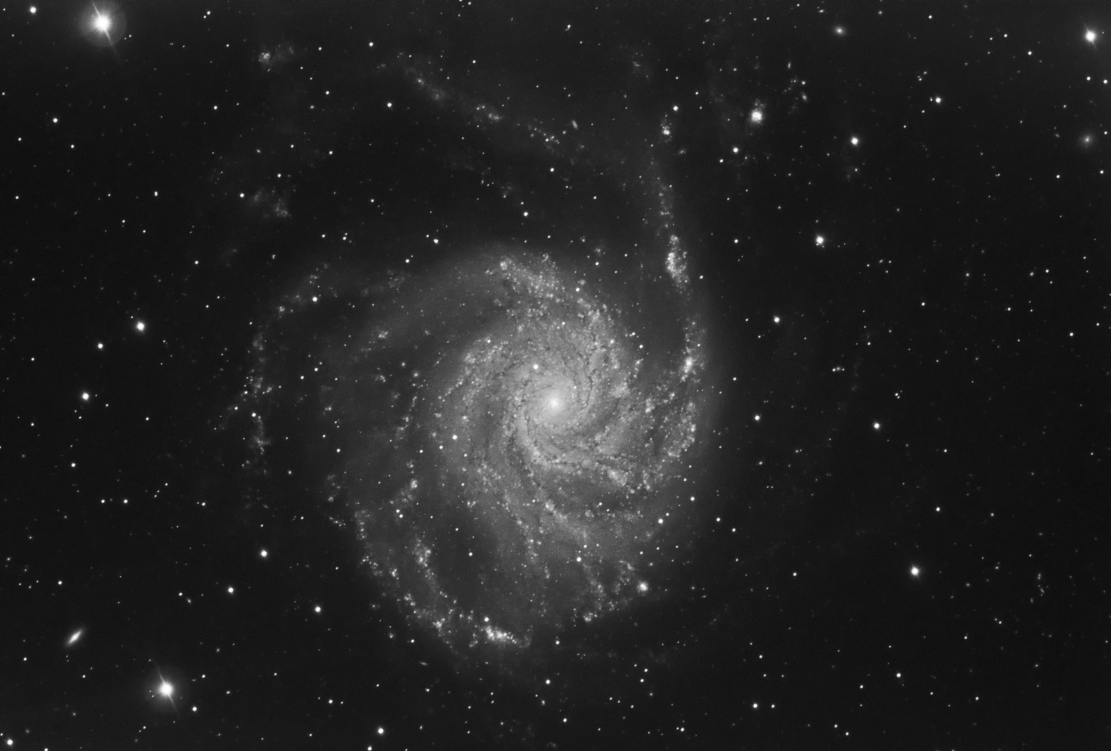 M101 JSzyma v2.jpg