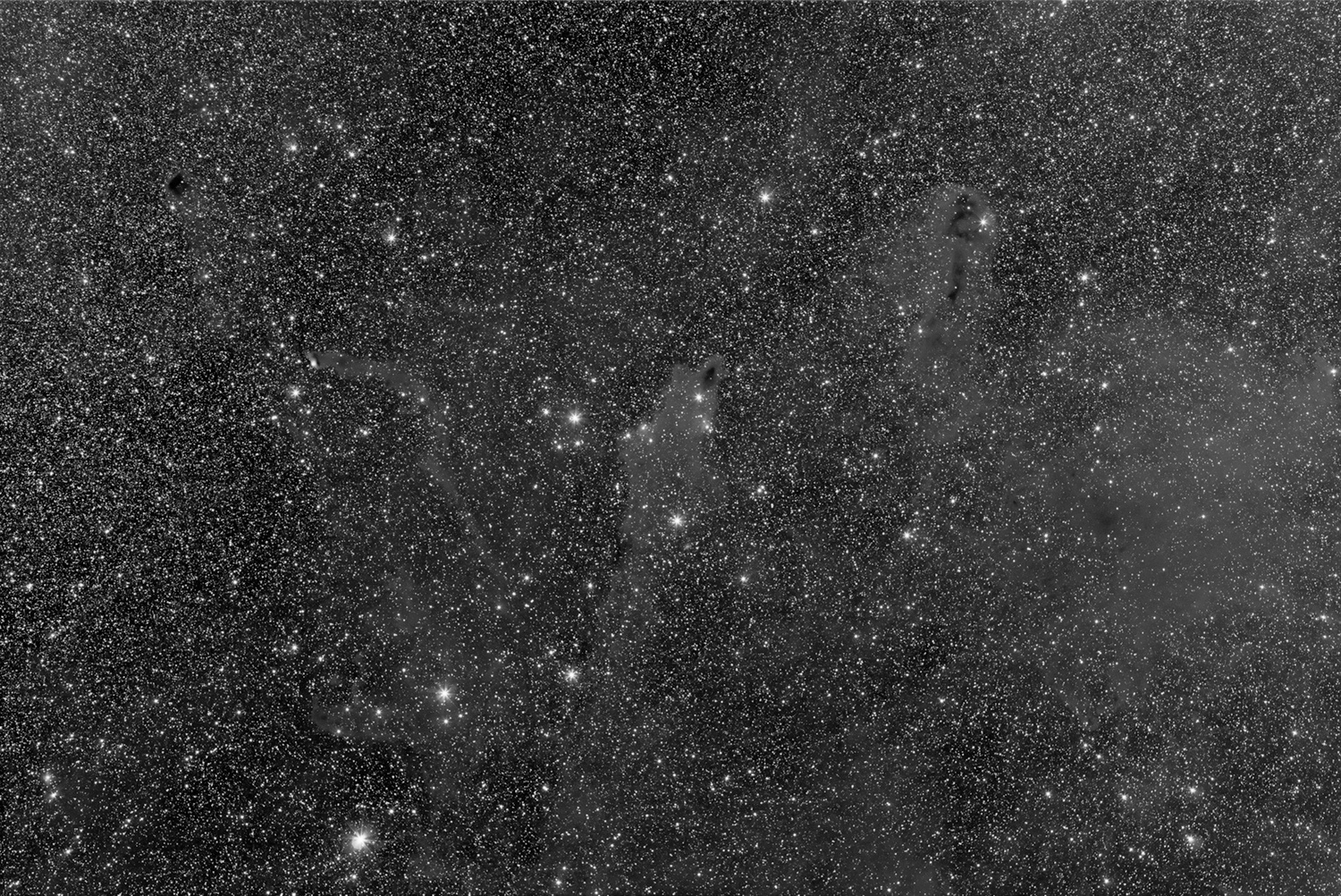 Cefeusz_Darks_2018_mono.jpg.14cb099d4a47117bd1d3f161b6a6ebb0.jpg
