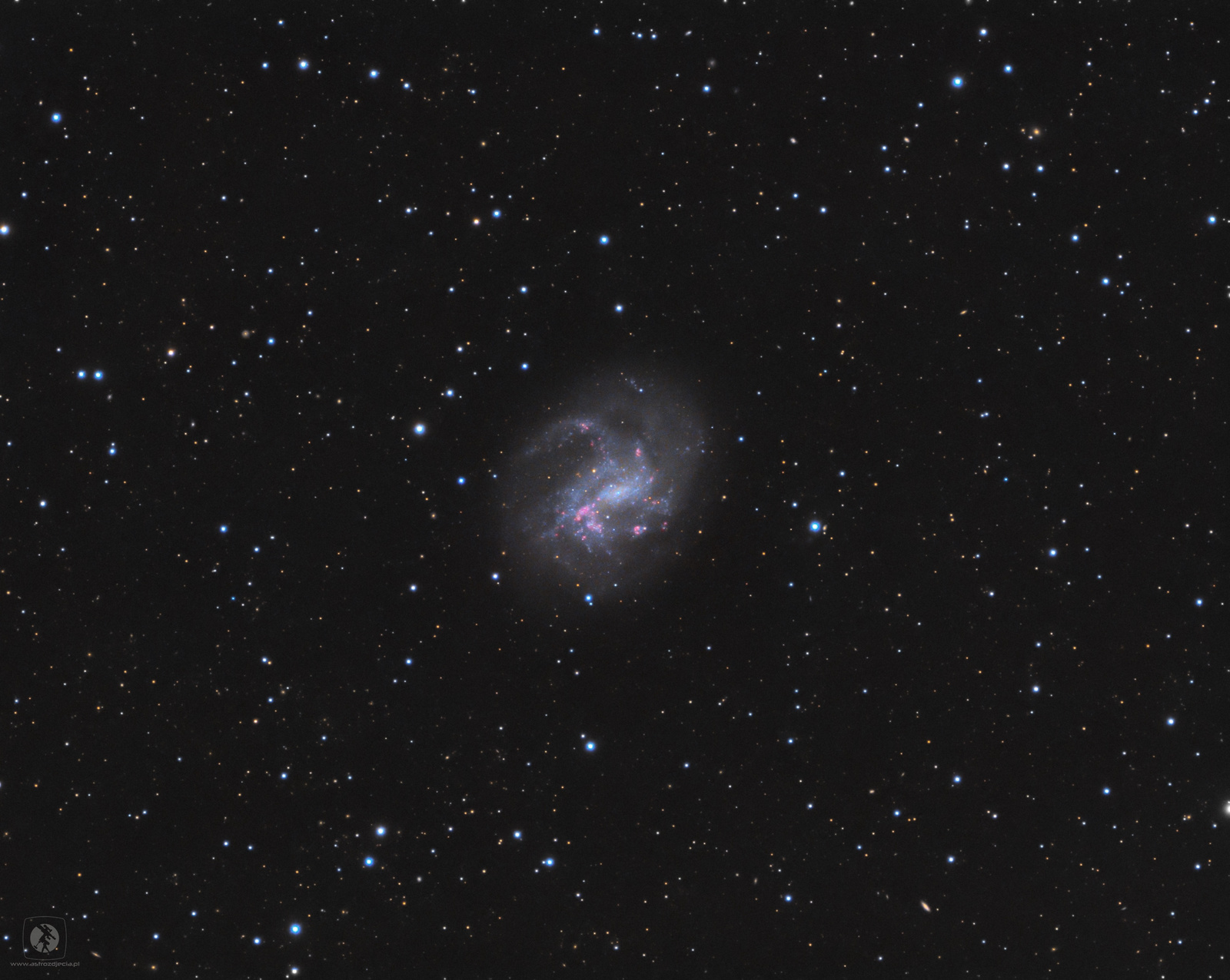 NGC4395-gotowe5.thumb.jpg.c230bffb8d3fe88be81c9b9476976819.jpg