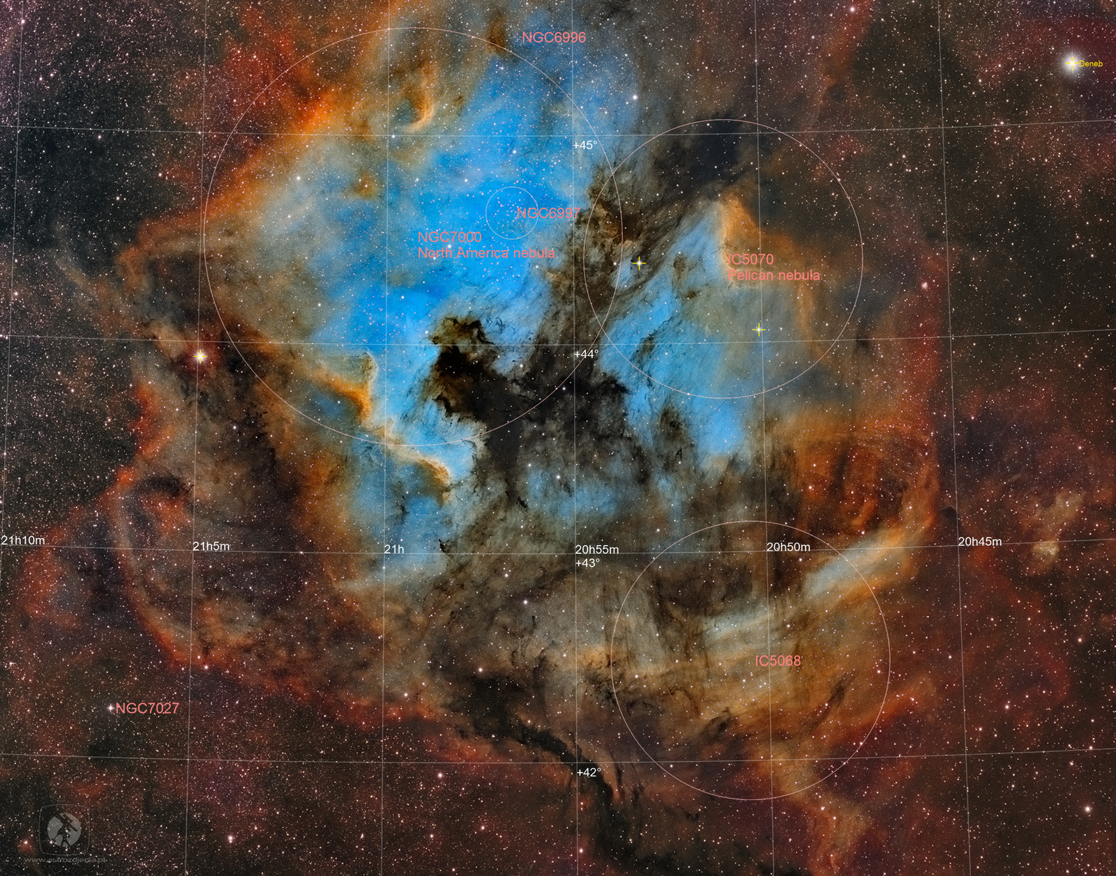 NGC7000-opis.thumb.jpg.3acfa3ee6e2375ce65c0bc9998dea56d.jpg