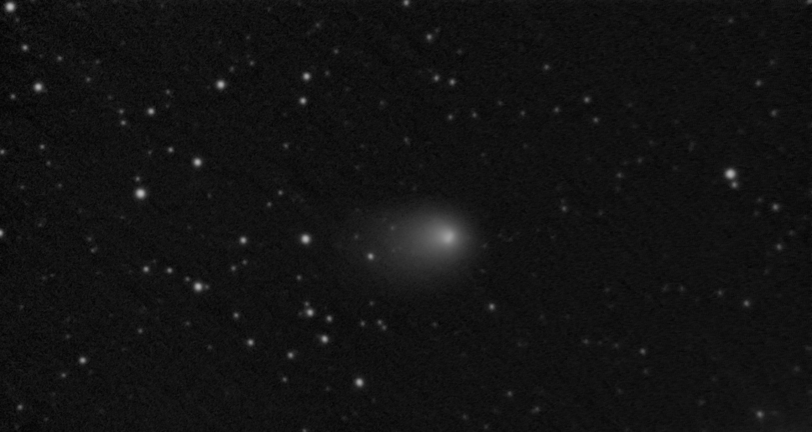 kometa Panstarrs.jpg