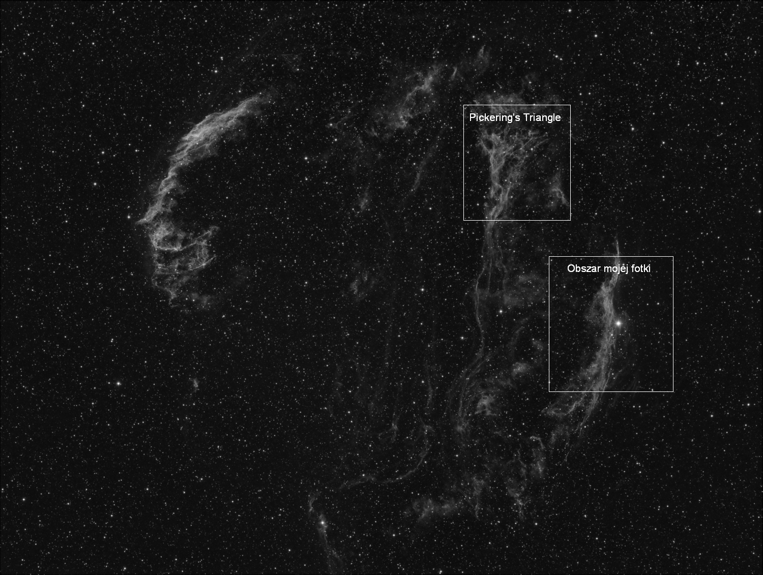 cygni_nebula_piotr.png.d81b0a809771baf76e3f978148b3de4c.png