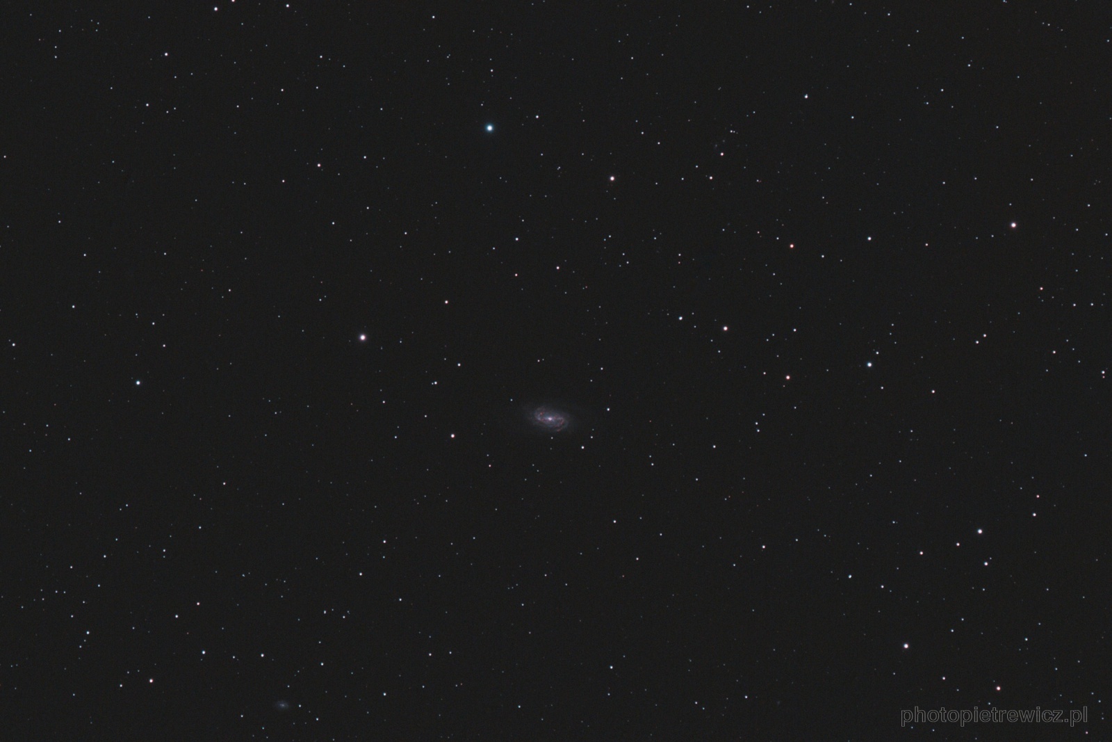 NGC2903.thumb.jpg.ca29c41fbce61ce1ddfa0df57aa778ff.jpg