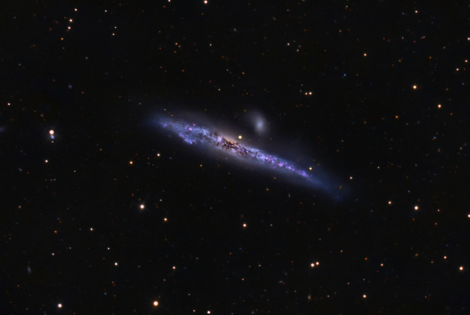 NGC4631_final2-2-2_JSzyma.thumb.jpg.f50cbcd600f83d0b346c60d6c4a391a2.jpg