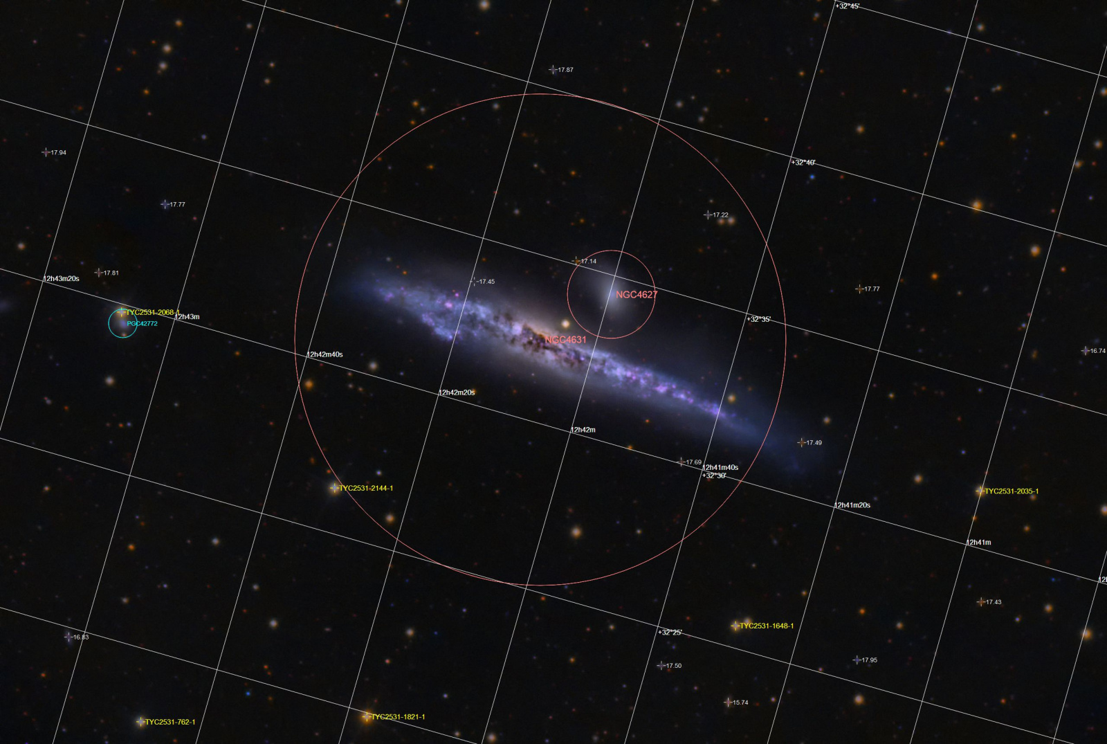 NGC4631_final2_2_JSzyma_Annotated.thumb.jpg.5a2ab595e729d72e52b24e603c1f2775.jpg