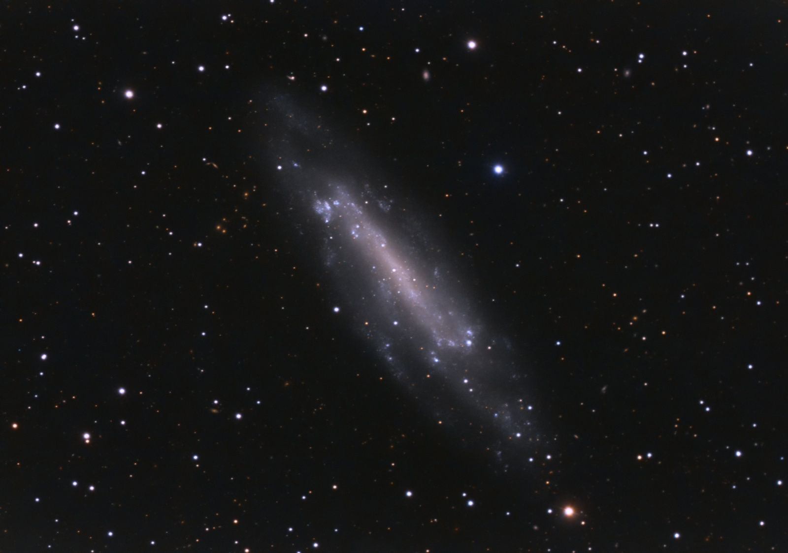 NGC4236_LRGB_JSzyma.thumb.jpg.34bb066d62cf8bb78f915cf6d4033300.jpg