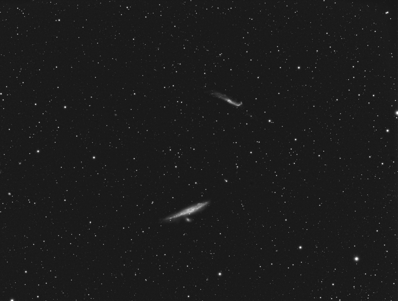 NGC4631_6.jpg