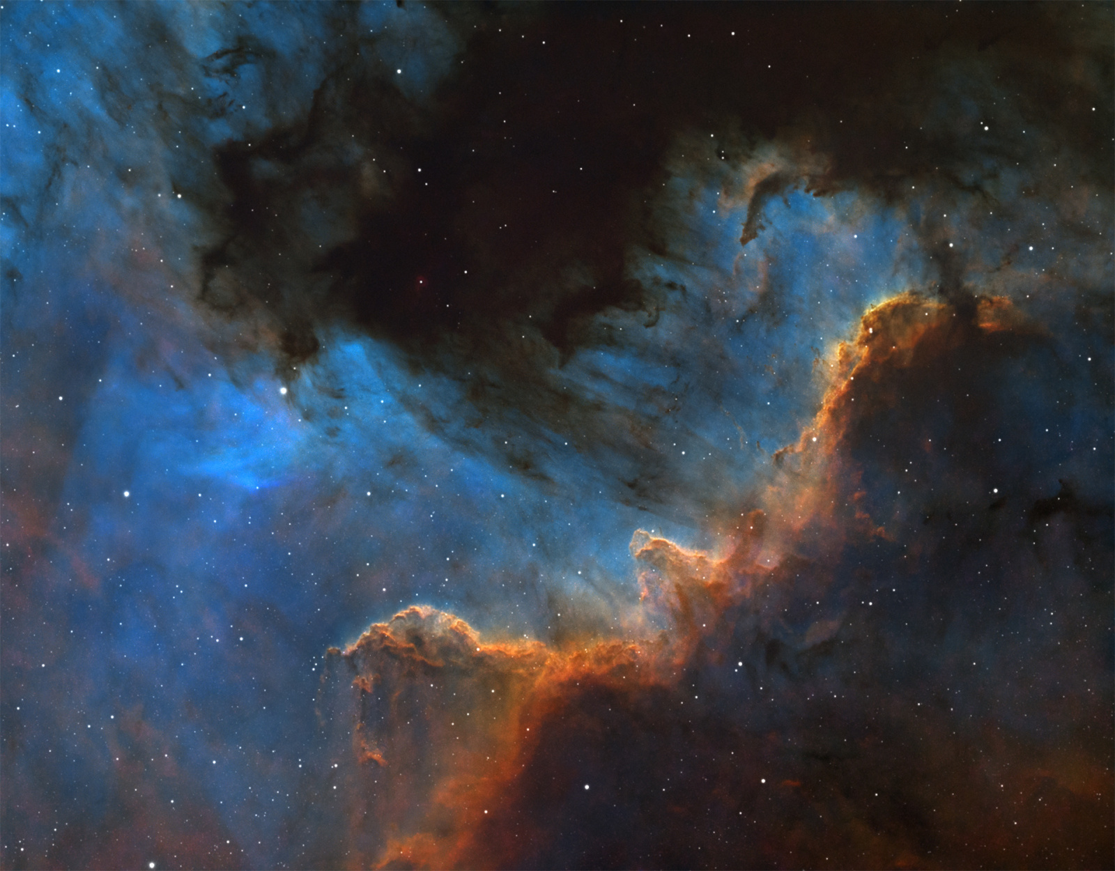 NGC7000_wall-forum.thumb.jpg.189c90a946095794d4f18ce71f99221c.jpg