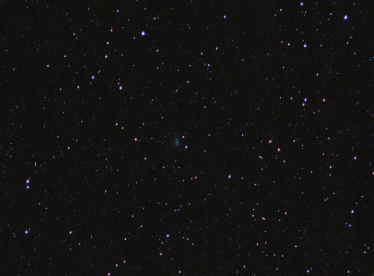 kometa20200413-50_3.jpg.aa84c73b5c9d121f30f872de33b4195e.jpg