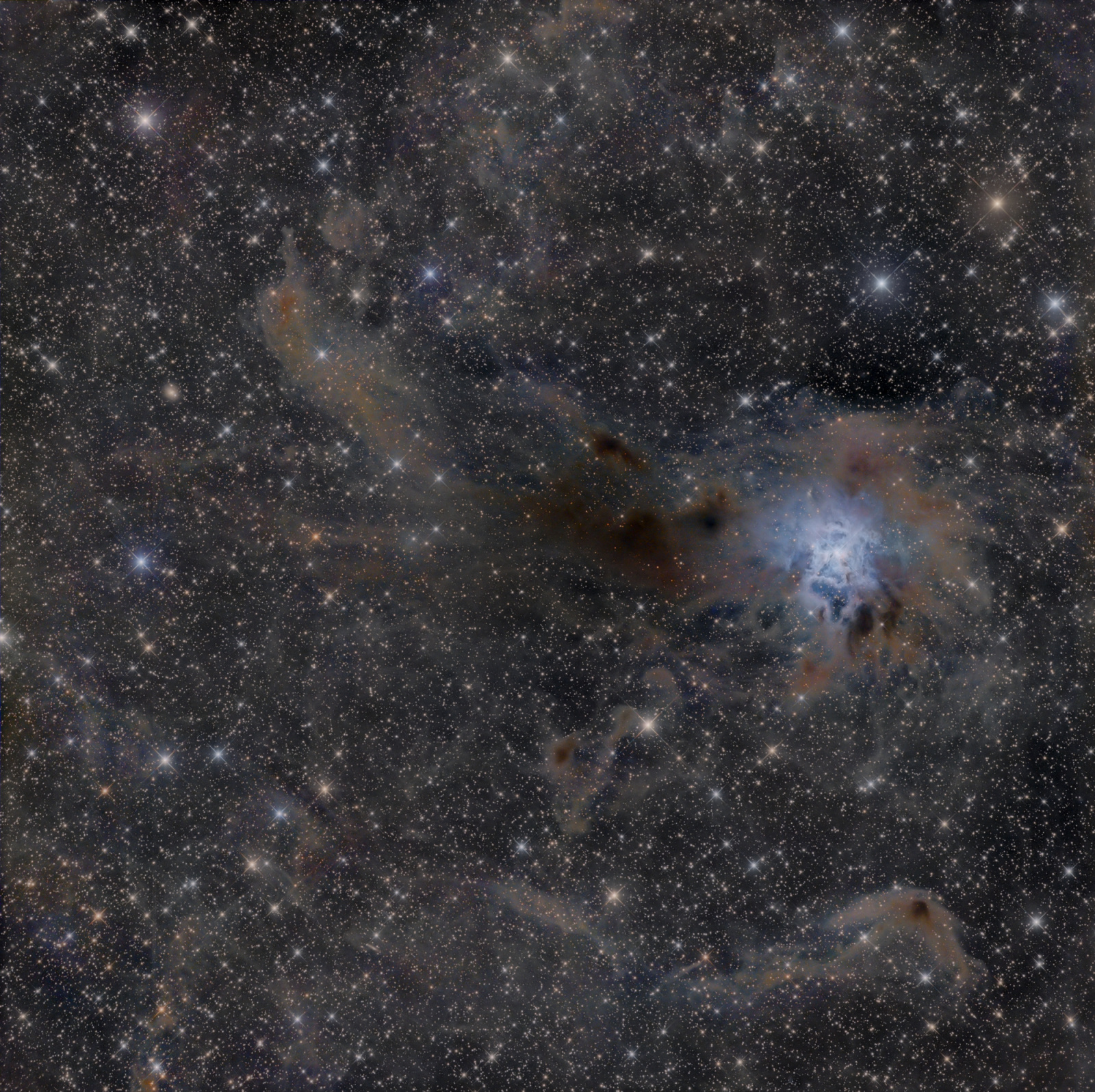-_NGC_7023_-.jpg