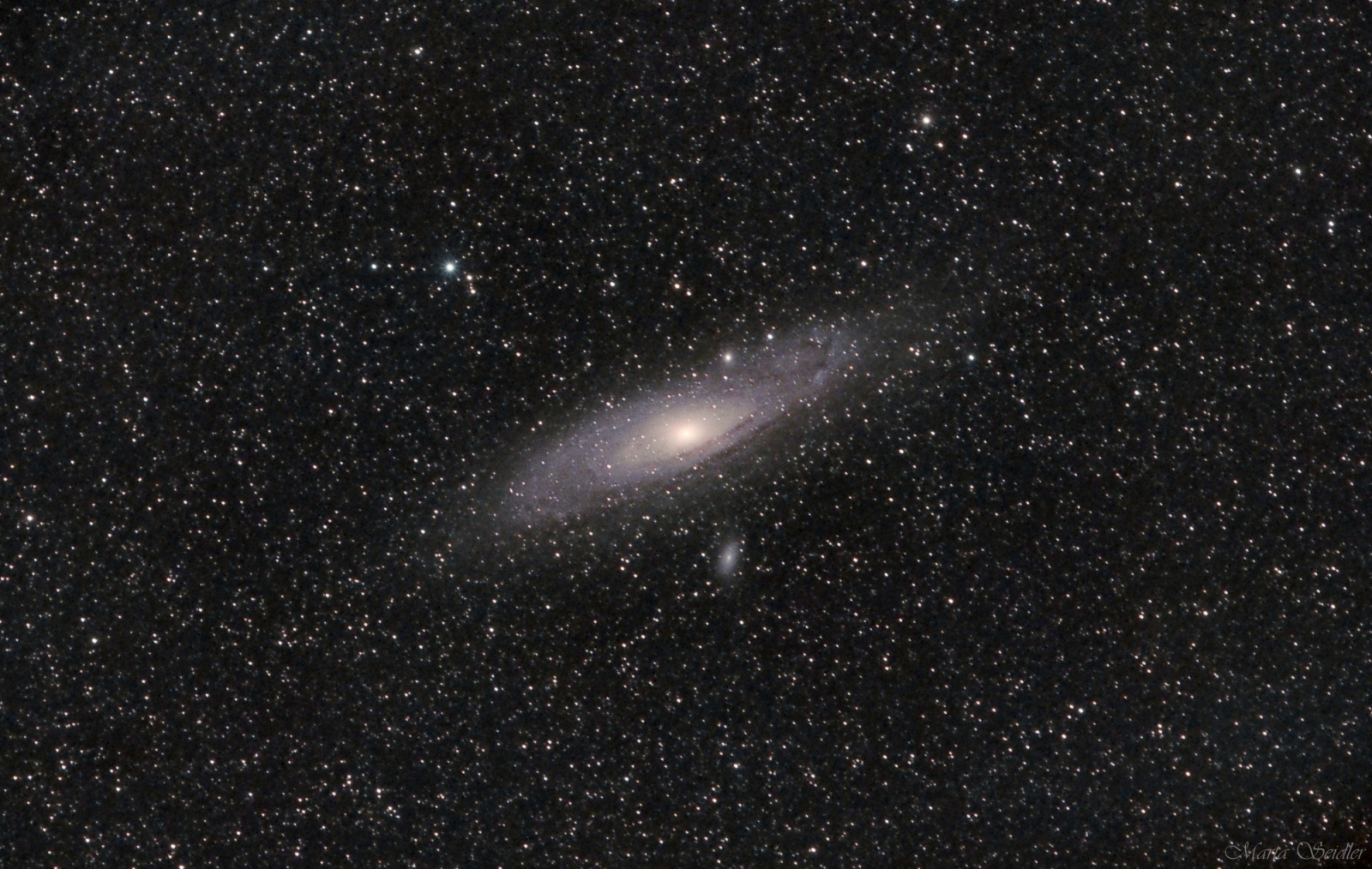Andromeda5_MartaSeidler.thumb.jpg.98441f5795369bdd894017a5fea770d2.jpg