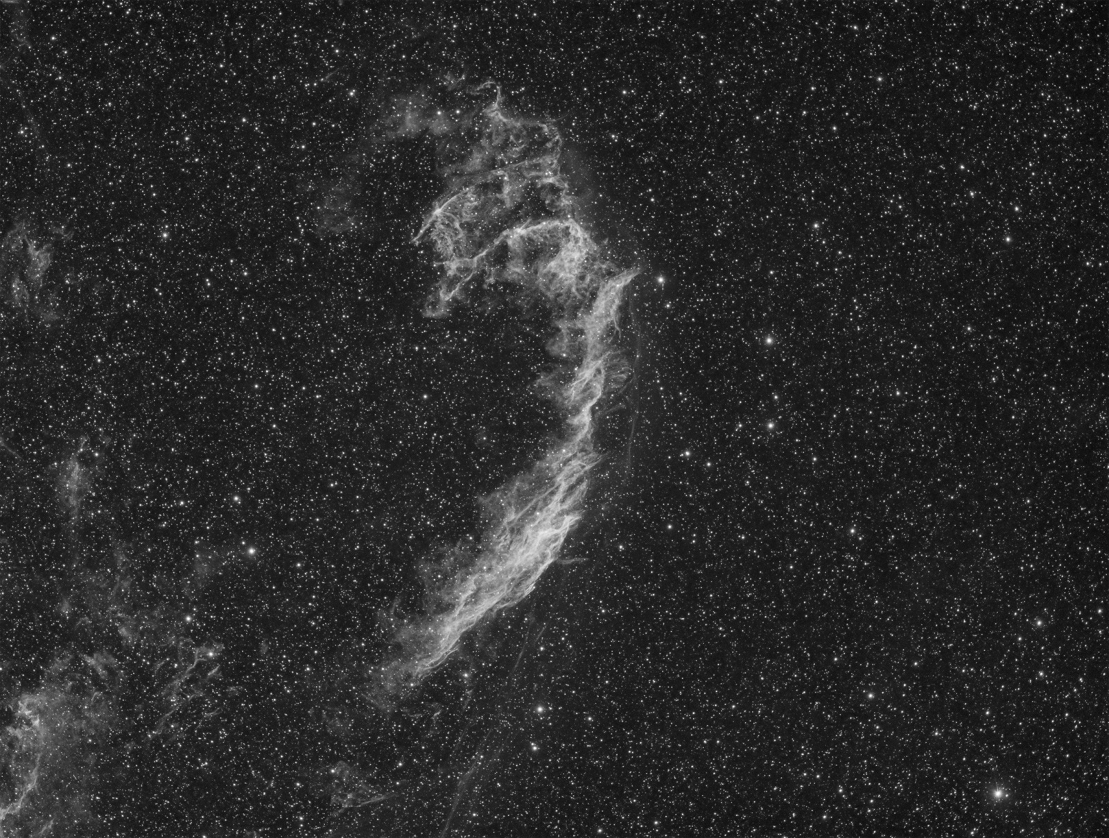 NGC6992 proc.jpg