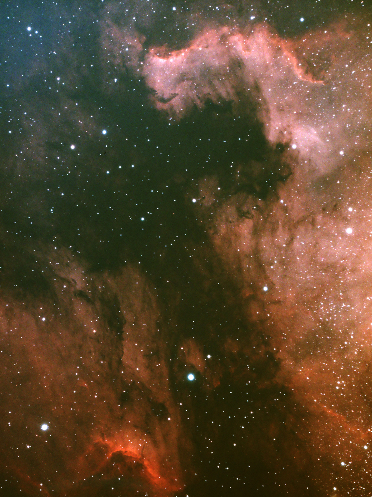 NGC7000_AP.jpg