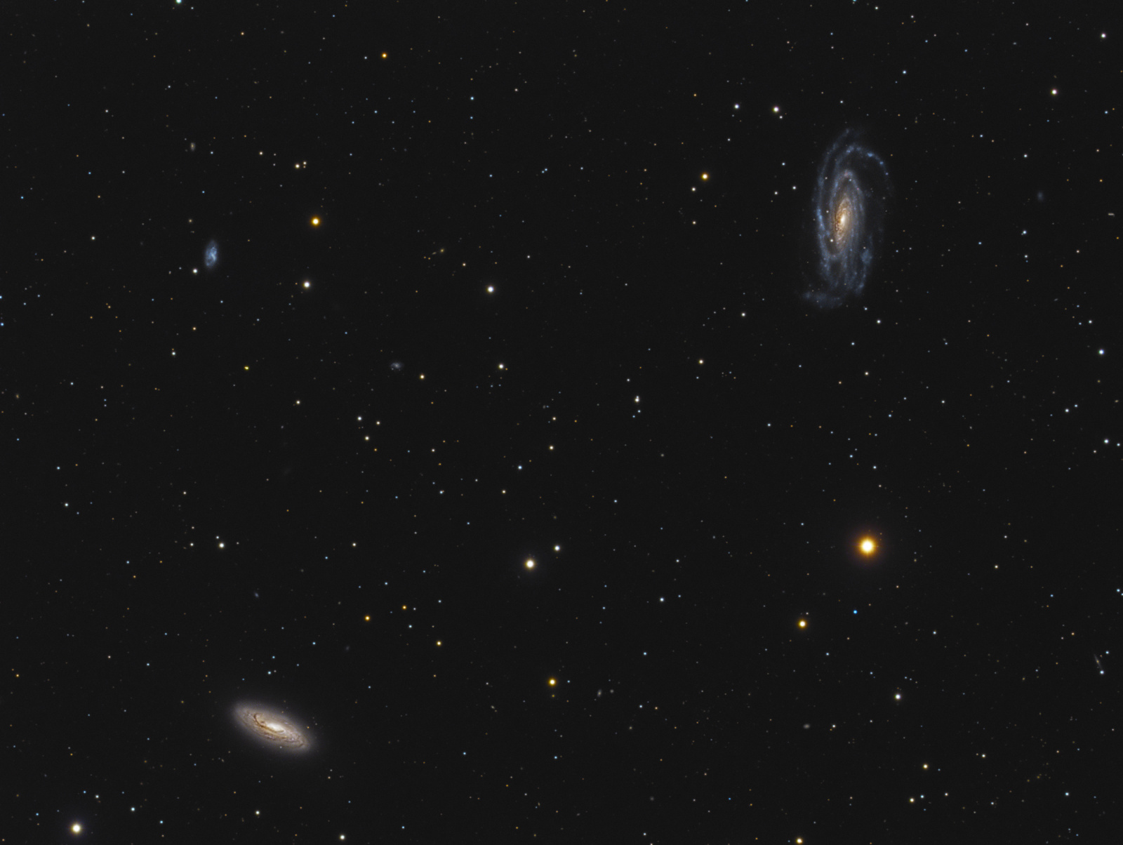 NGC_5033_NGC 5005.jpg