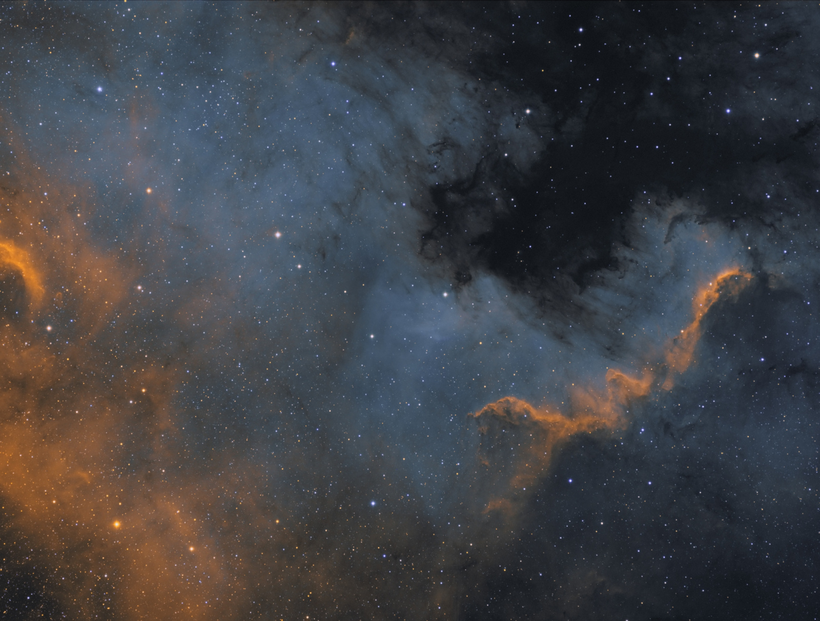 167848145_NGC7000_light.thumb.jpg.b89e69b34d905b79030663bbb91e8d22.jpg