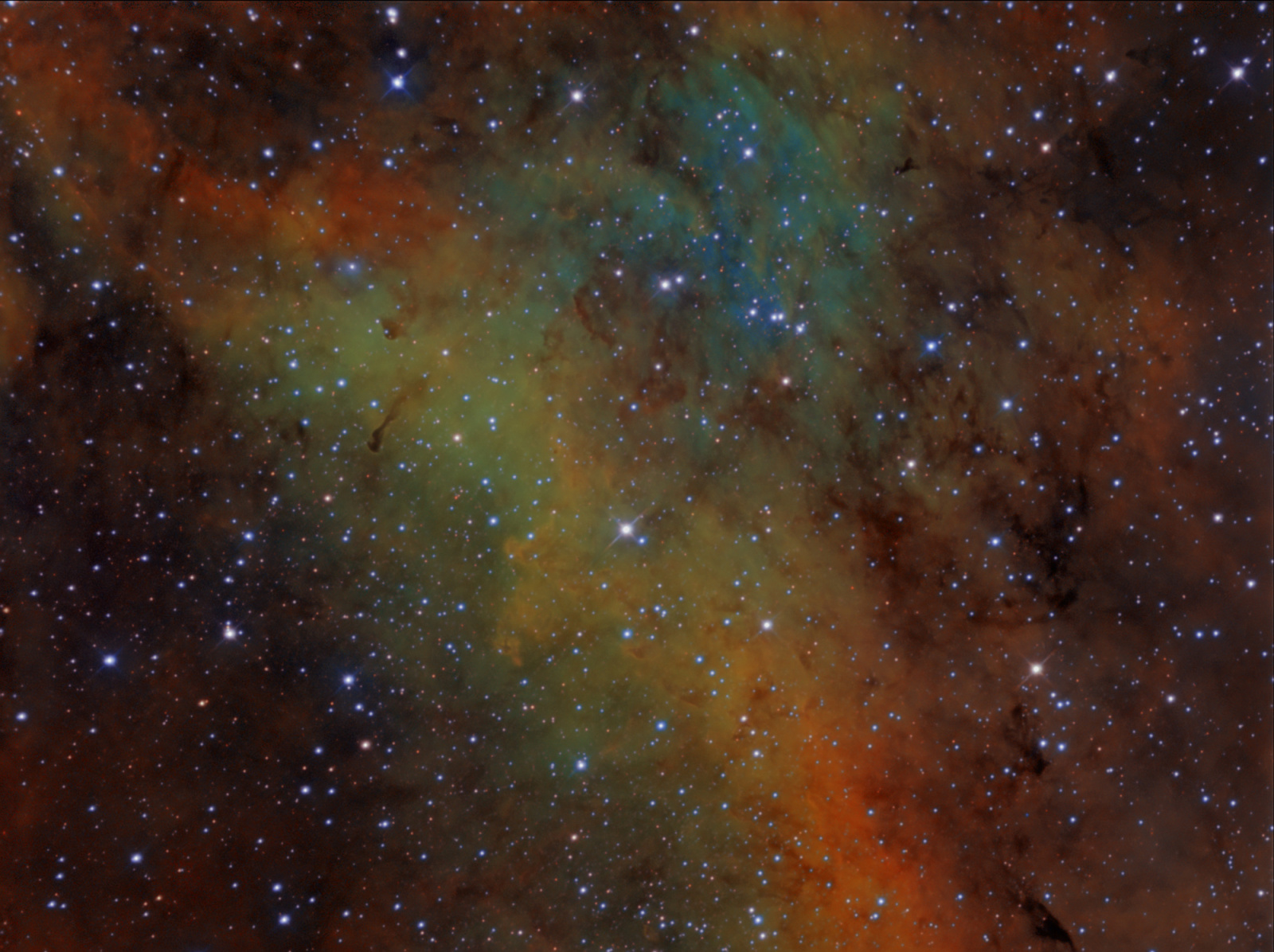 IC1318_2_Lexx.jpg