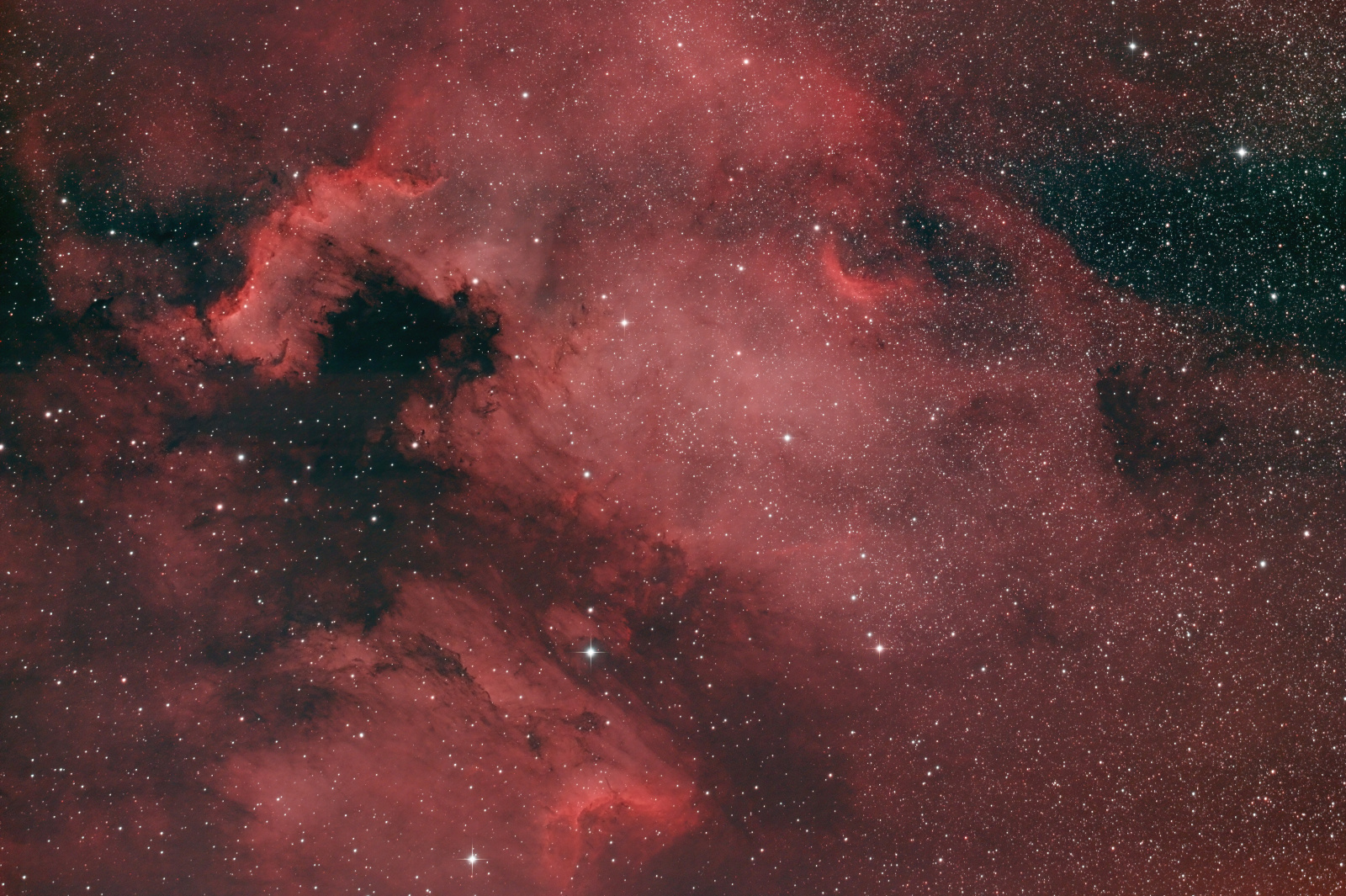 NGC7000-lpc-cbg.thumb.jpg.31bad4f1020d5e1c3fa7a461fe99e2a0.jpg