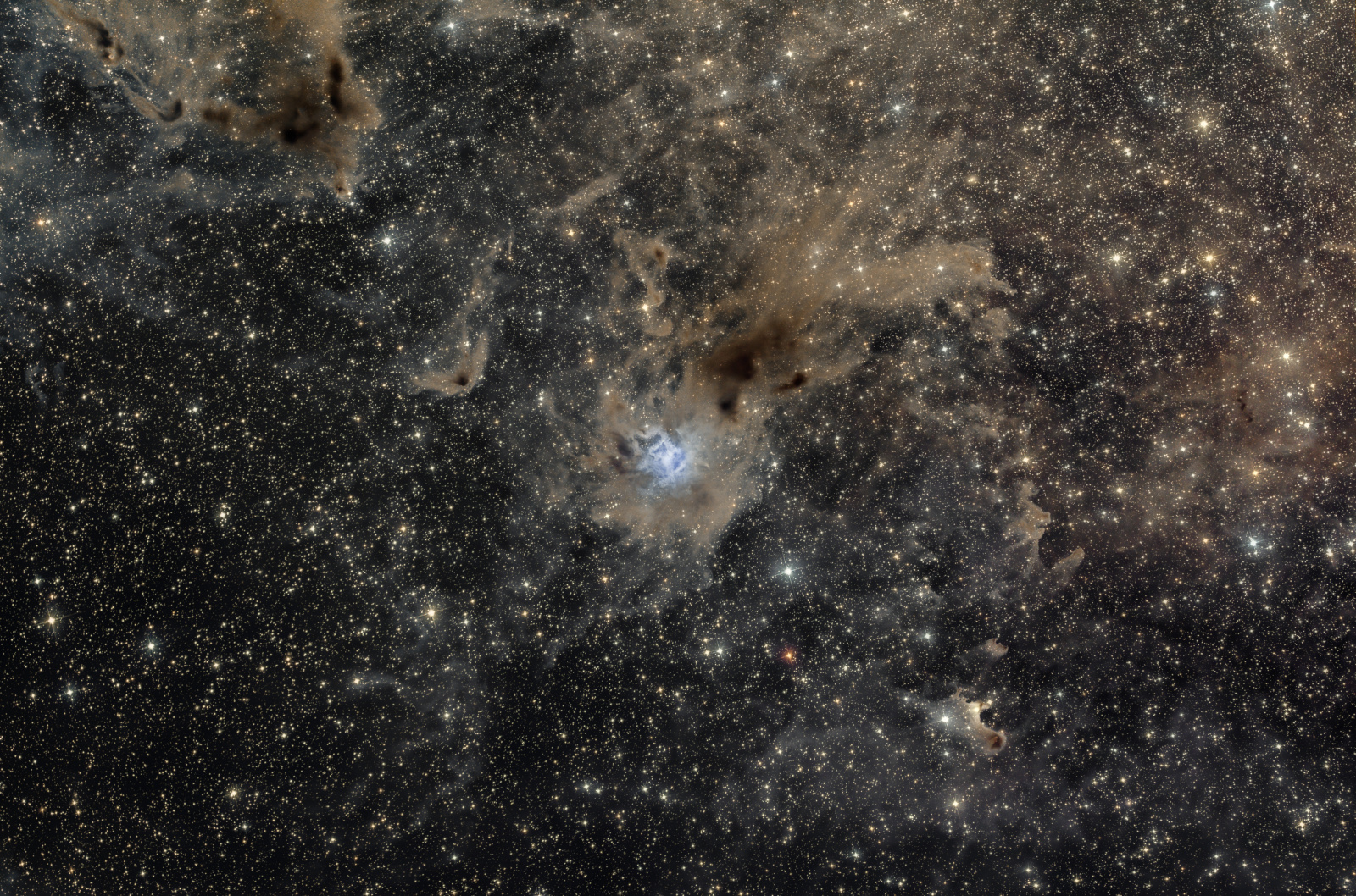 NGC7023-3200.thumb.jpg.c8638cfb256c5368e495773a9d1daed6.jpg