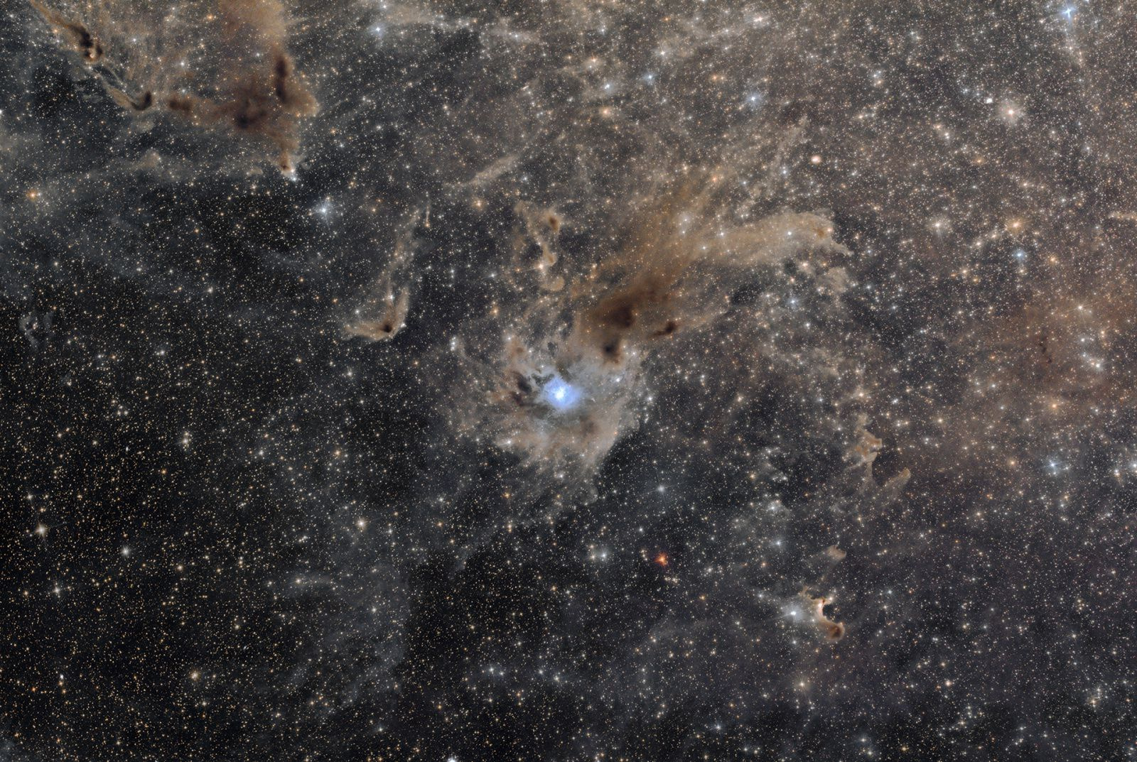 NGC7023.thumb.jpg.716e54ecc376801f076825b3922c1e6e.jpg
