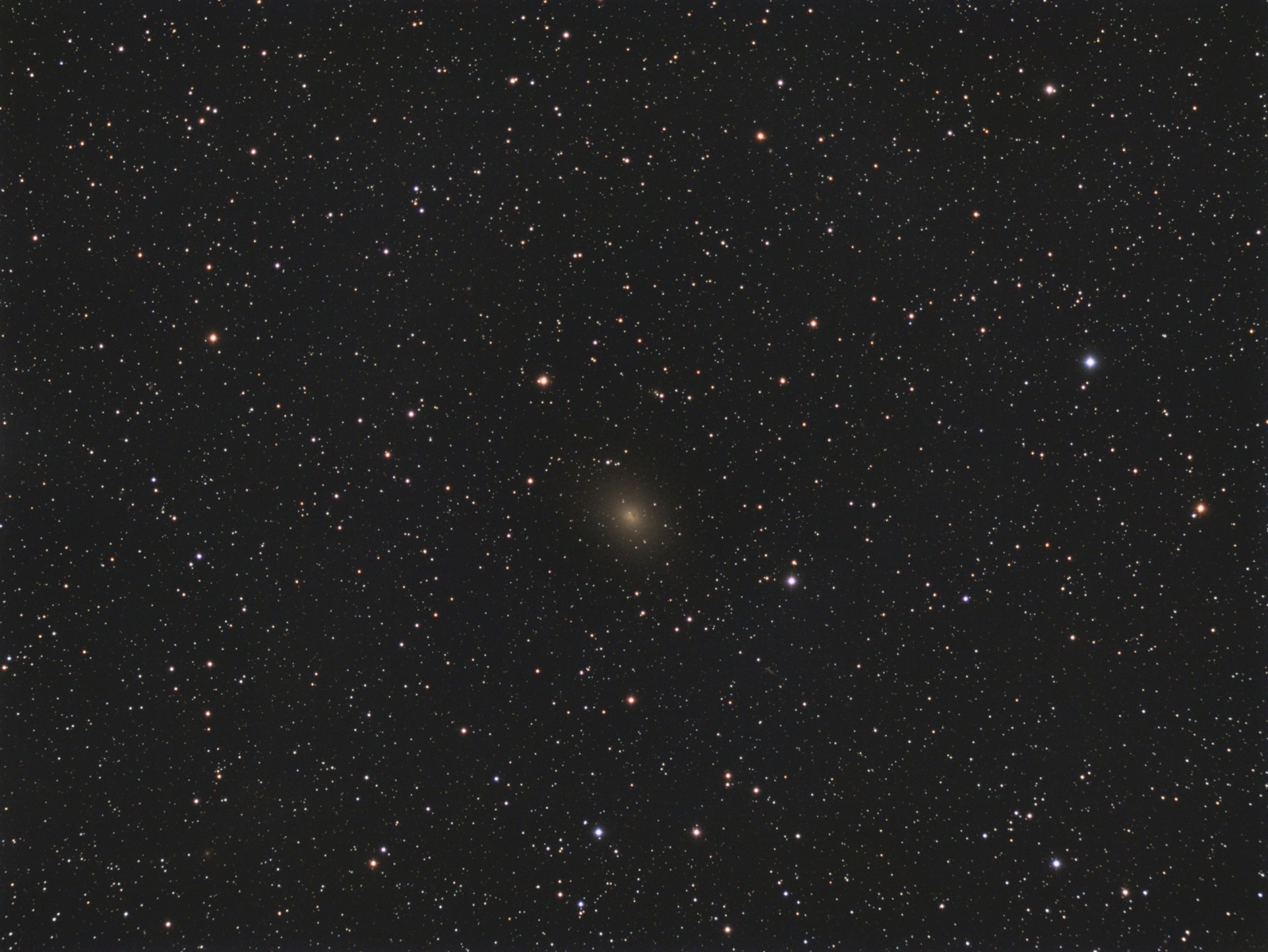 NGC185_120ED_ST8300_LRGB.thumb.jpg.30c3390bdf7ac1a5e27fb1cd4d71ba91.jpg