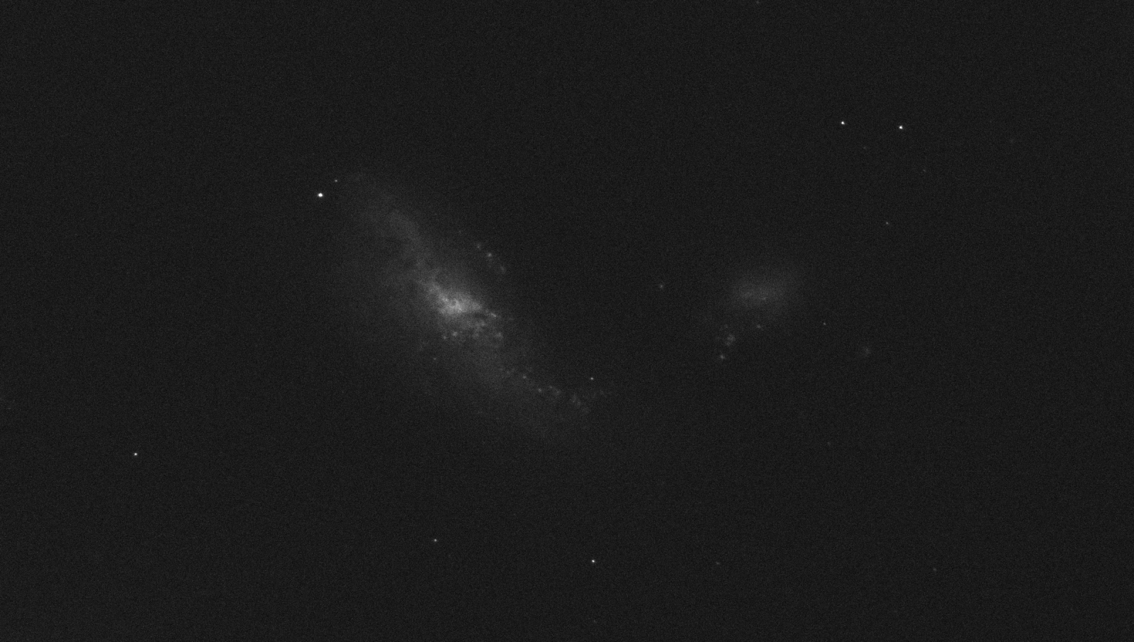 NGC4490.thumb.png.74456dcb30ff6a34978bbfc549cecf6f.png
