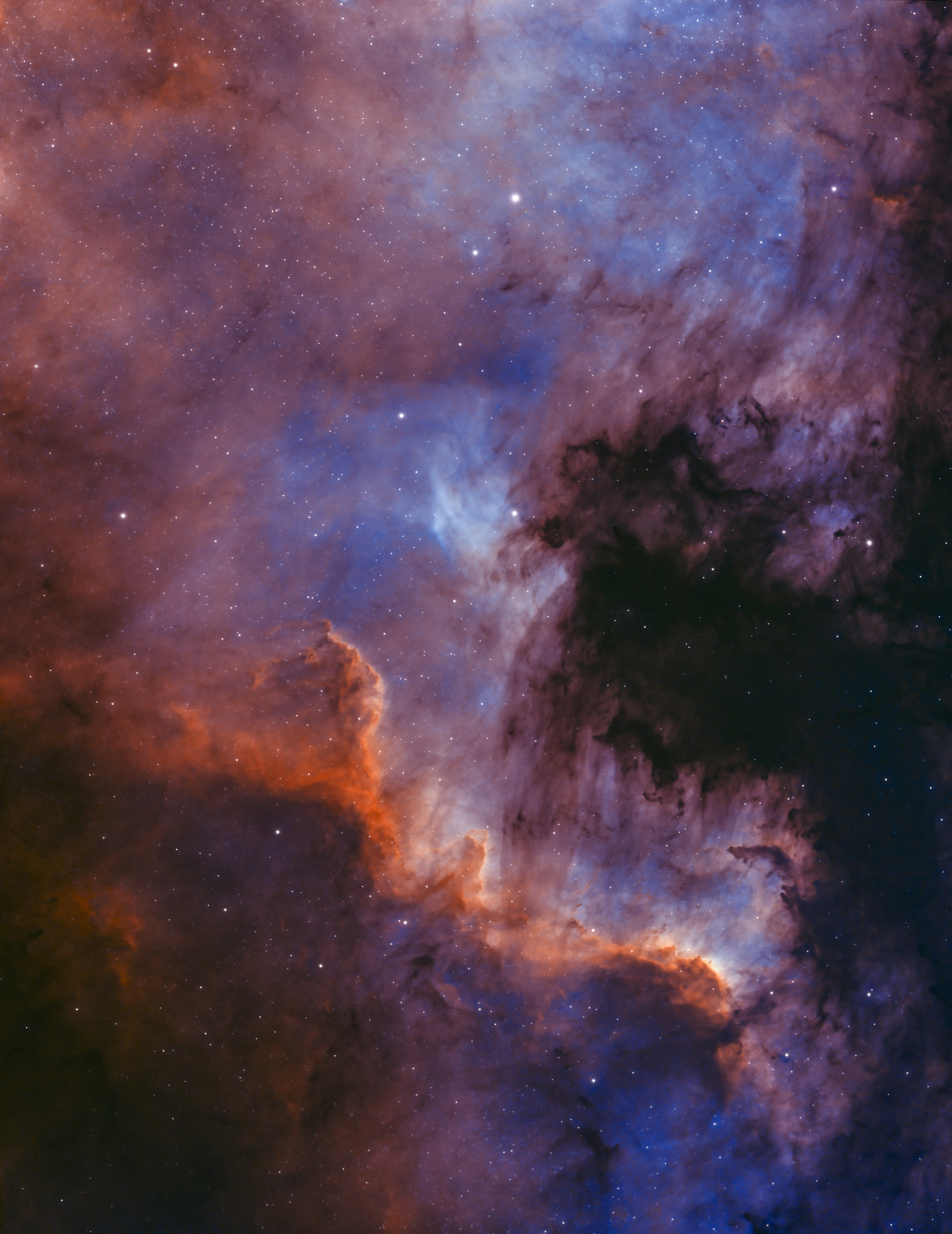 NGC7000_Bicolor_Ha_OIII.jpg