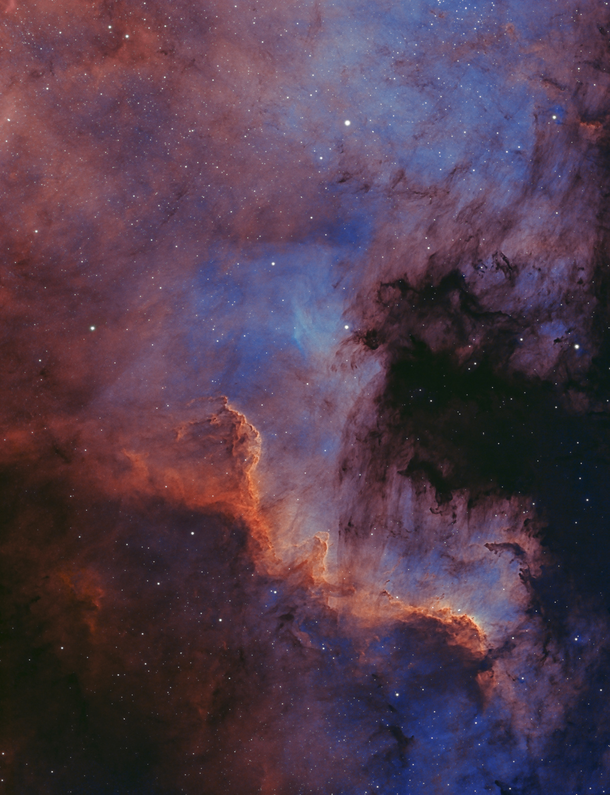 NGC7000_v3.jpg