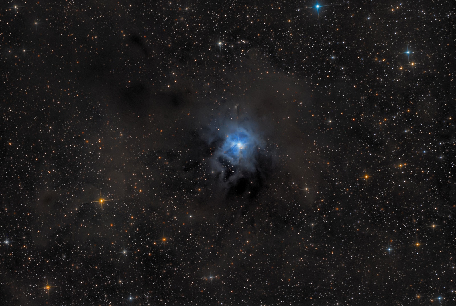 NGC7635_qhy8L.jpg