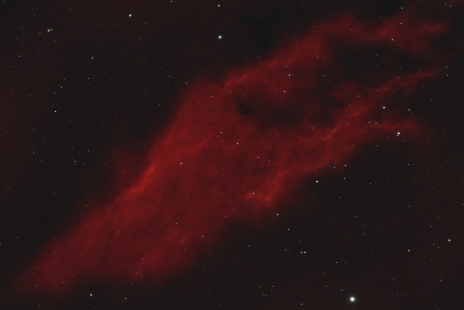 NGC_1499 CALIFORNIA.jpg