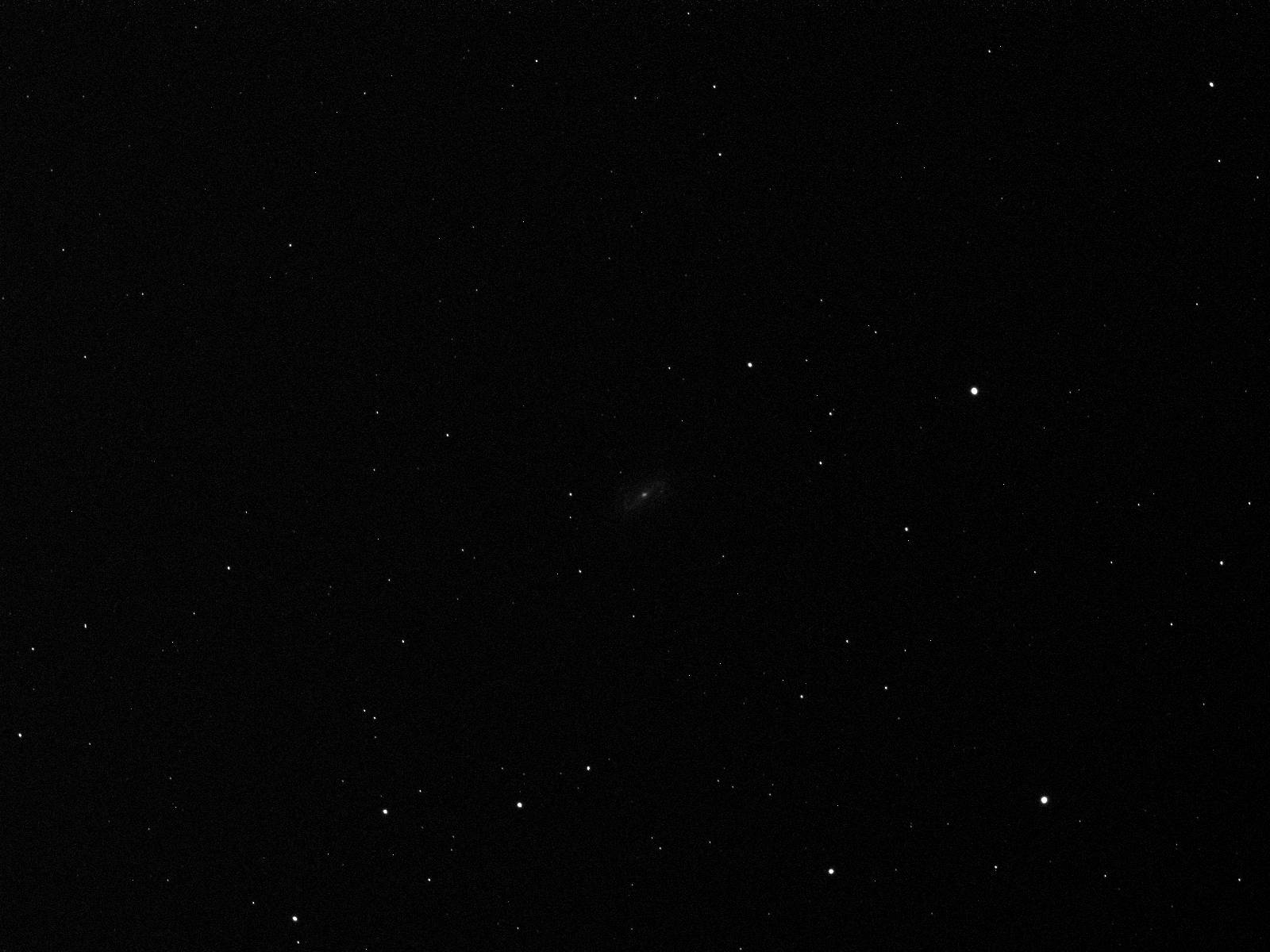 NGC2903.jpg.a0c58c77b188b1312d1f31f18be993cd.jpg