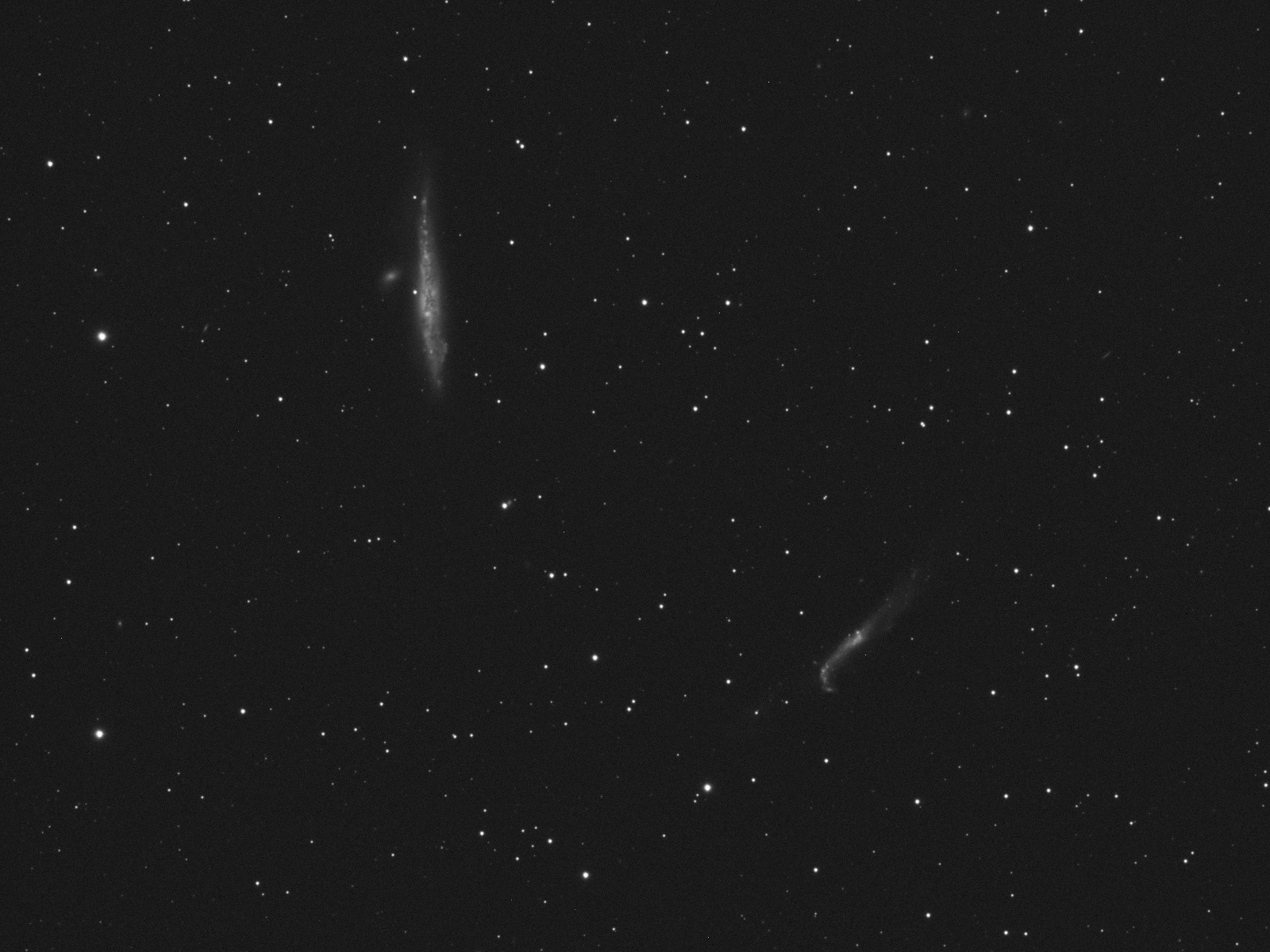 NGC4631-L10min.jpg.a22c263368581ef77f04544e723d4959.jpg