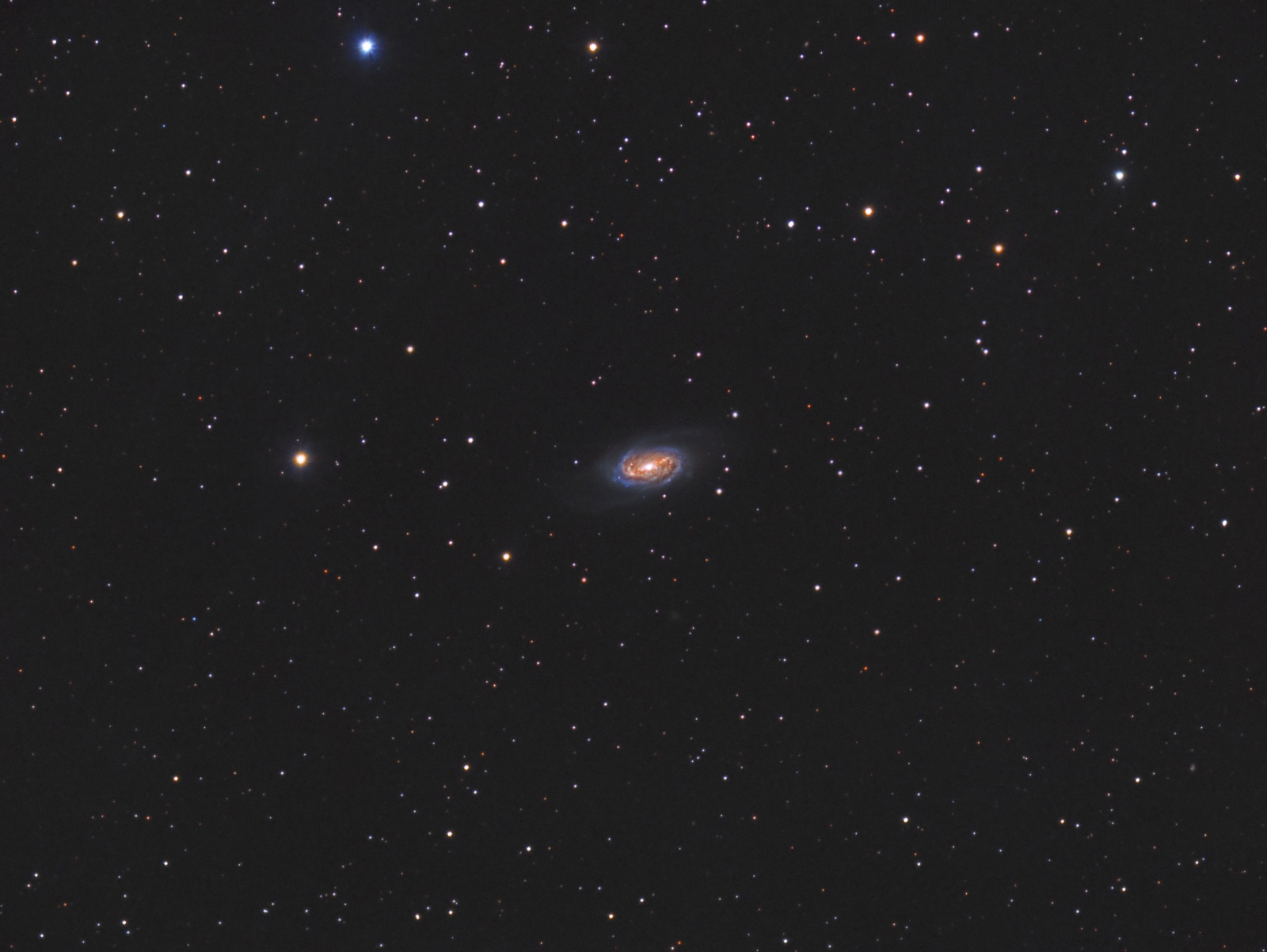 NGC 2903 Siril 2 kolor final cropp.jpg