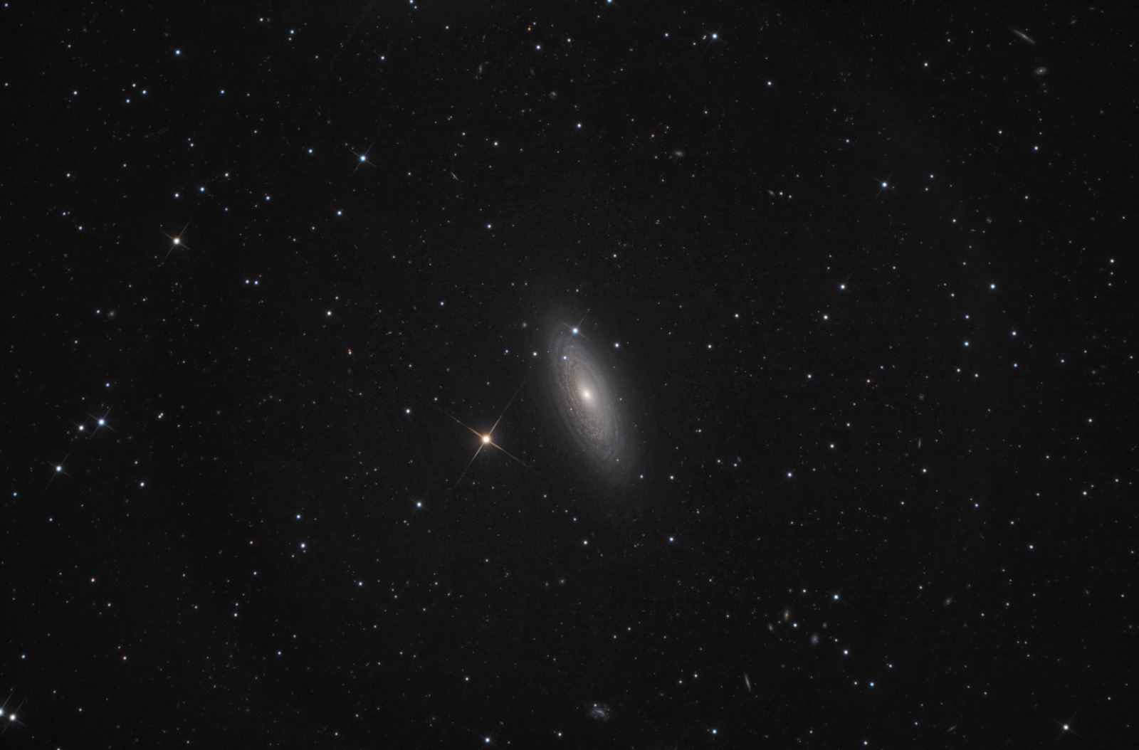 5fl_NGC2841.jpg