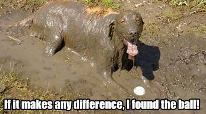 muddy-dogs-mud-puppy.jpg.8038fd8cace14fa48ff2058f157f5aad.jpg