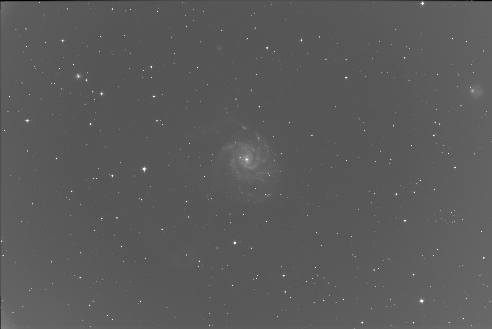 M101 (1 of 1).jpg