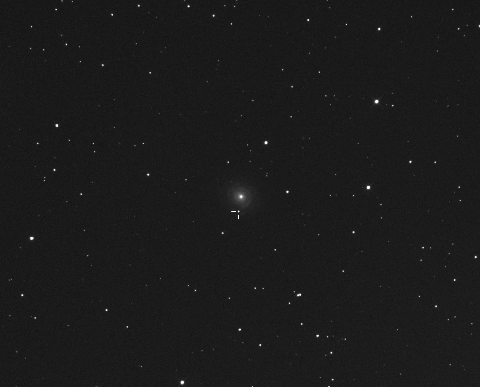 NGC3147_SN2021hpr.jpg.30a36ce0551885d666f78cb2f37a088d.jpg