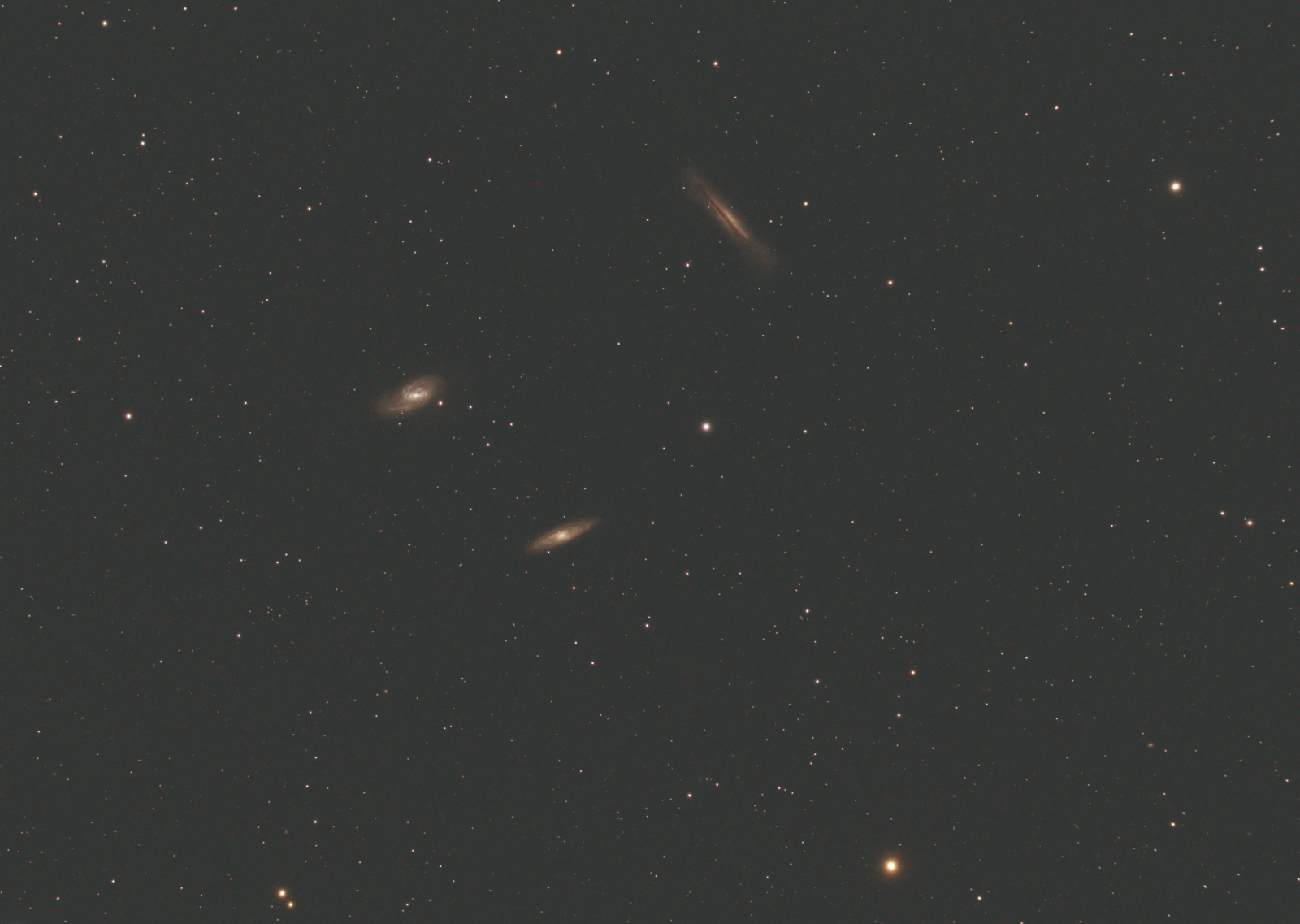 NGC3628_crop.jpg