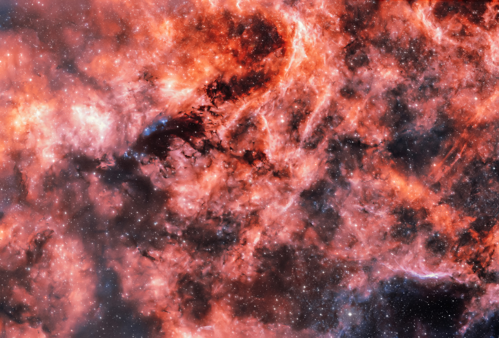NGC6914_bi.thumb.jpg.d71980bb51c9f6d1679163e7250cbbe1.jpg