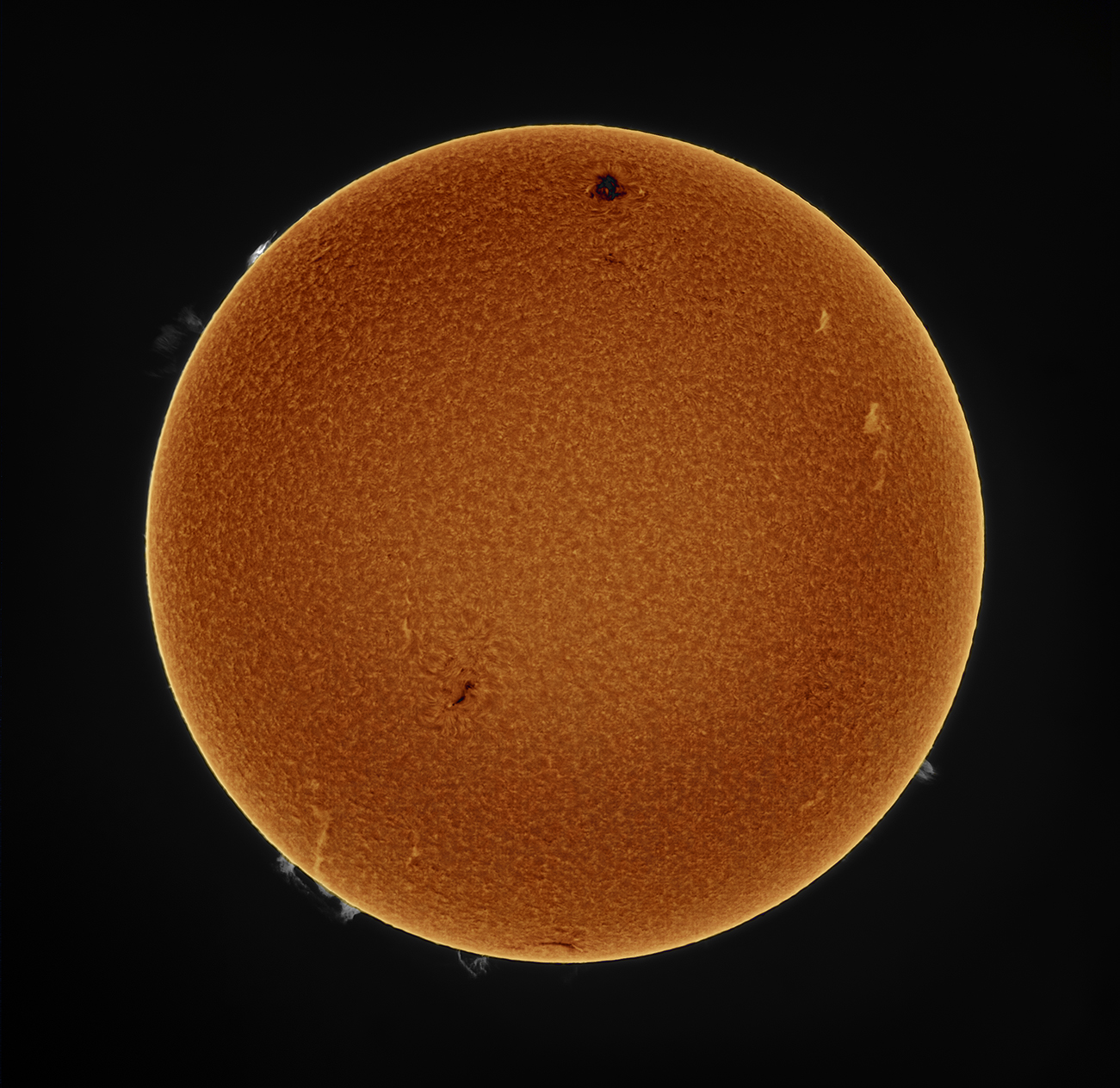 sun-20_04.jpg.fb8f58ff175fba2b58913dd59682d47e.jpg
