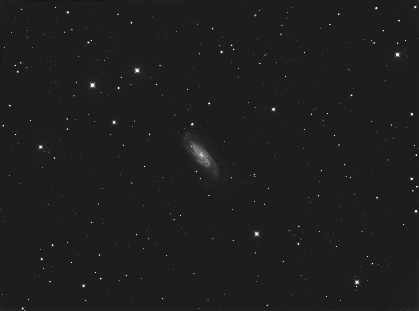 1382476888_NGC3198C25x10min4h10minbezflataGJPG.thumb.jpg.2ae5bee61030b1dbf923e1d343776b21.jpg